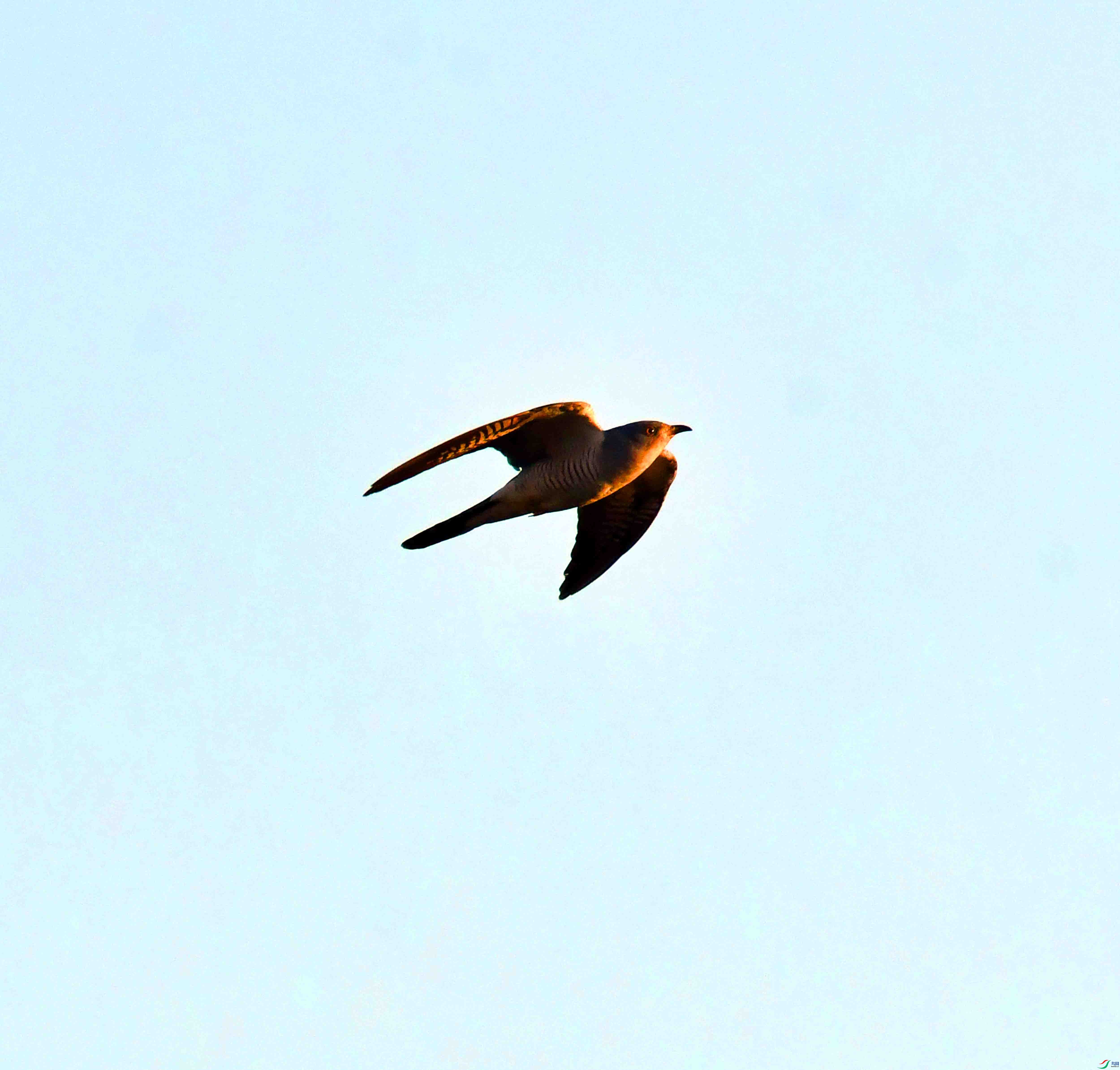 DSC_5608.JPG