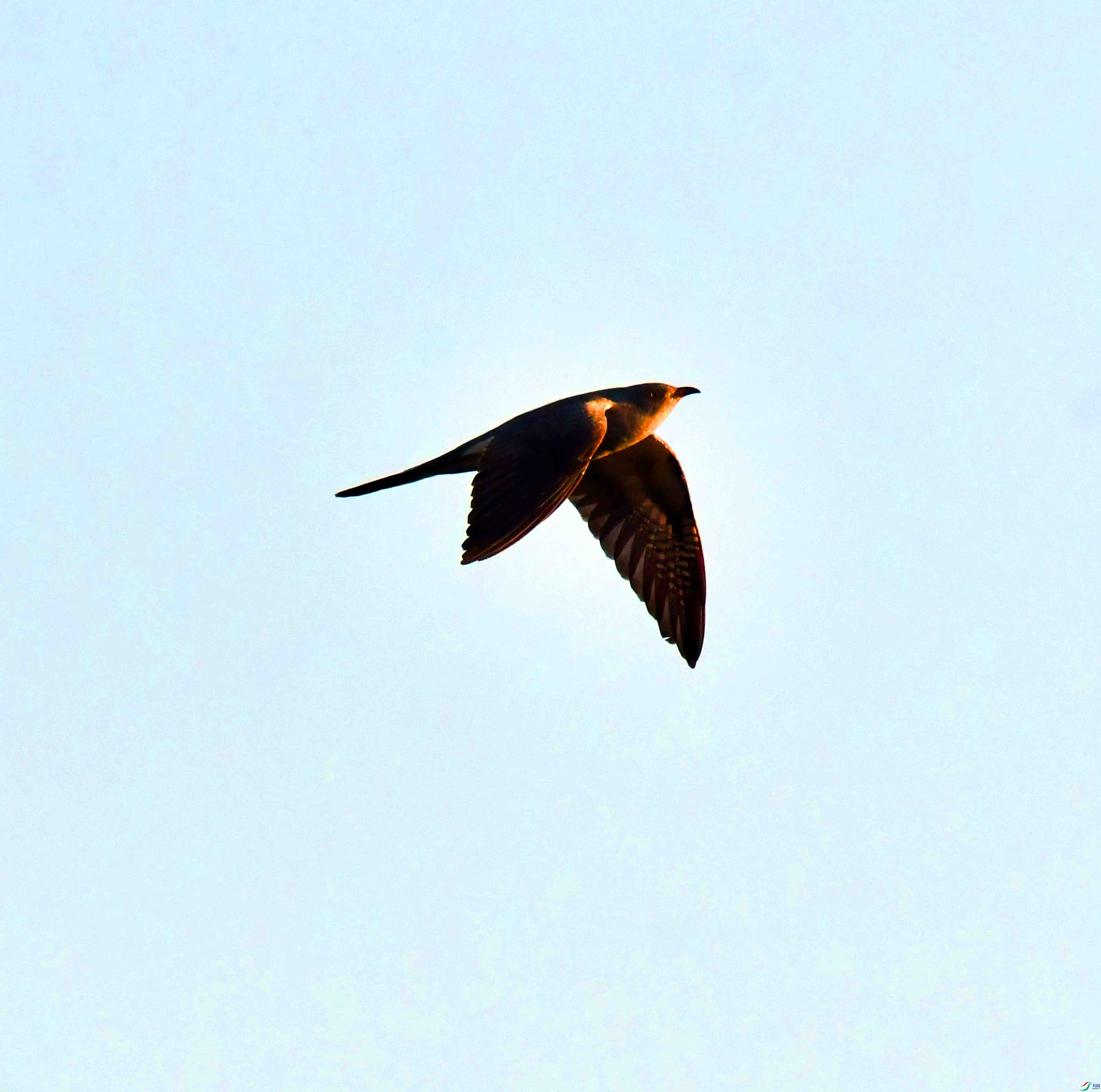 DSC_5609.JPG