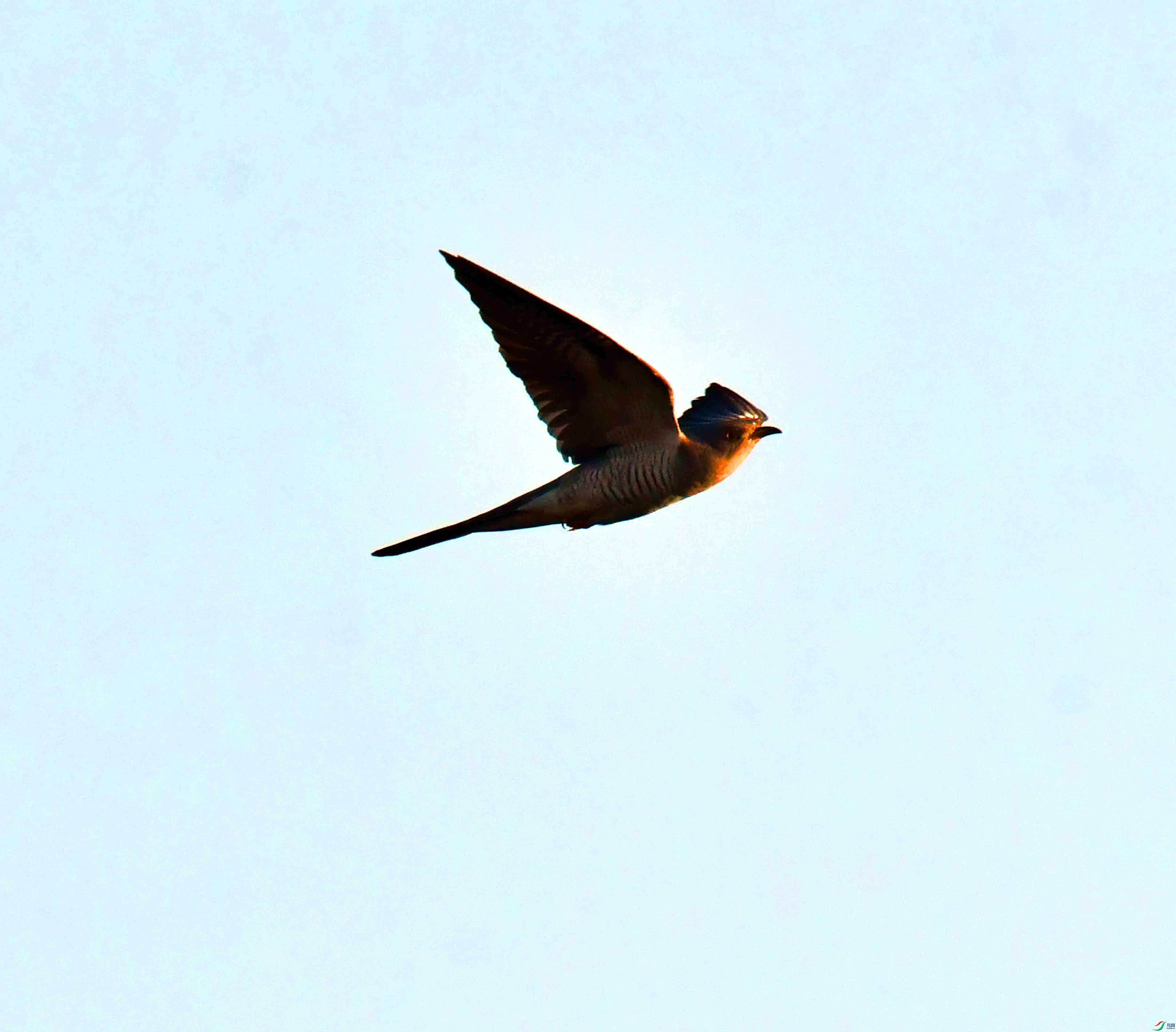 DSC_5610.JPG