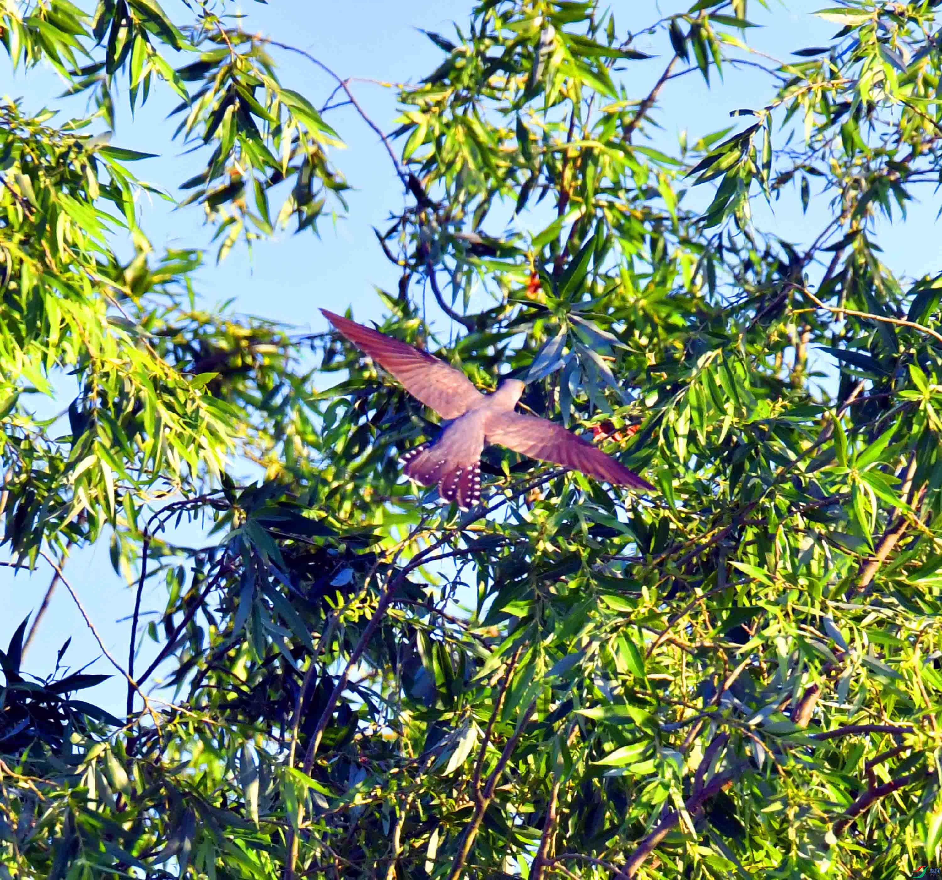 DSC_5720.JPG