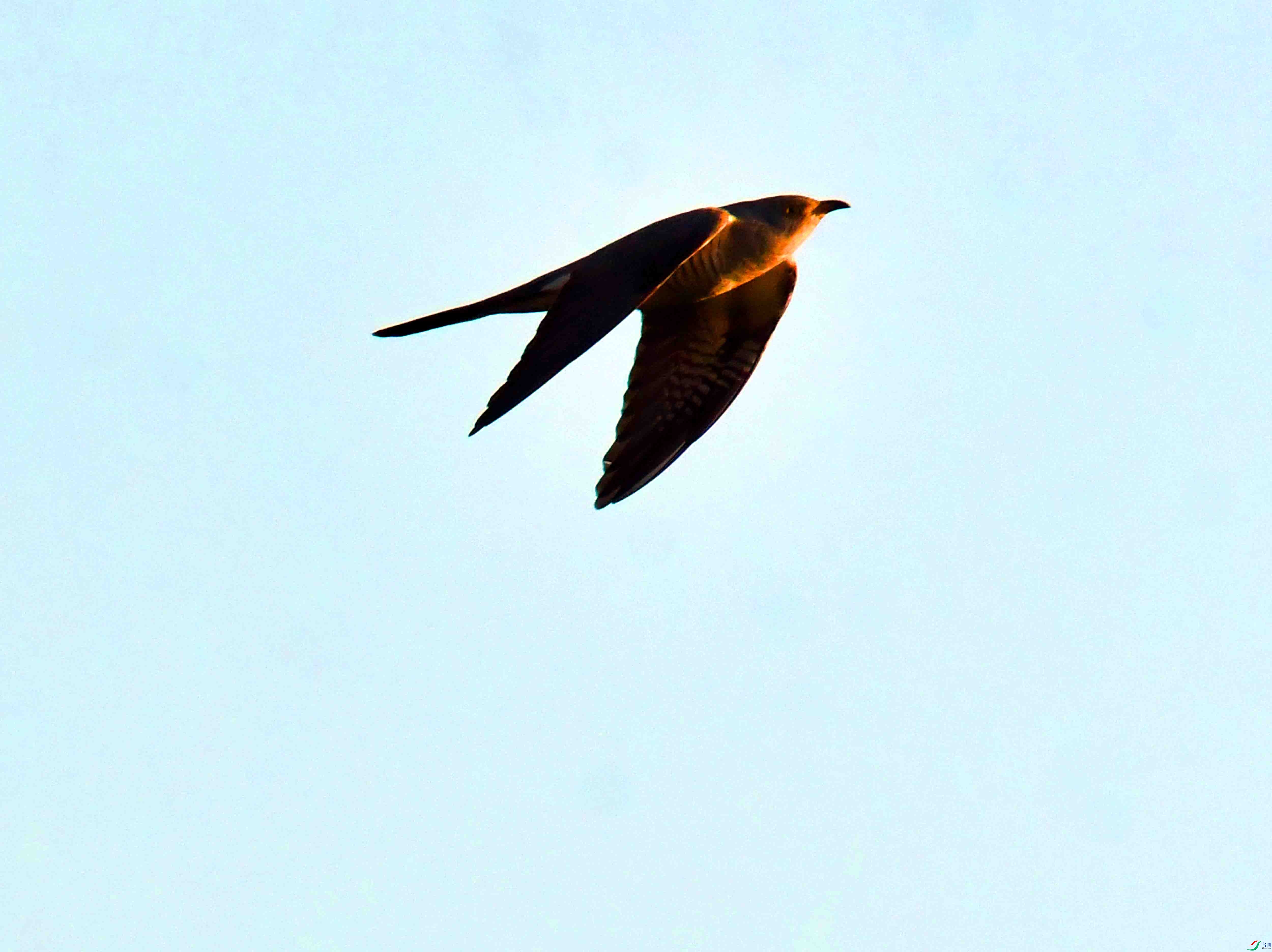 DSC_5611.JPG