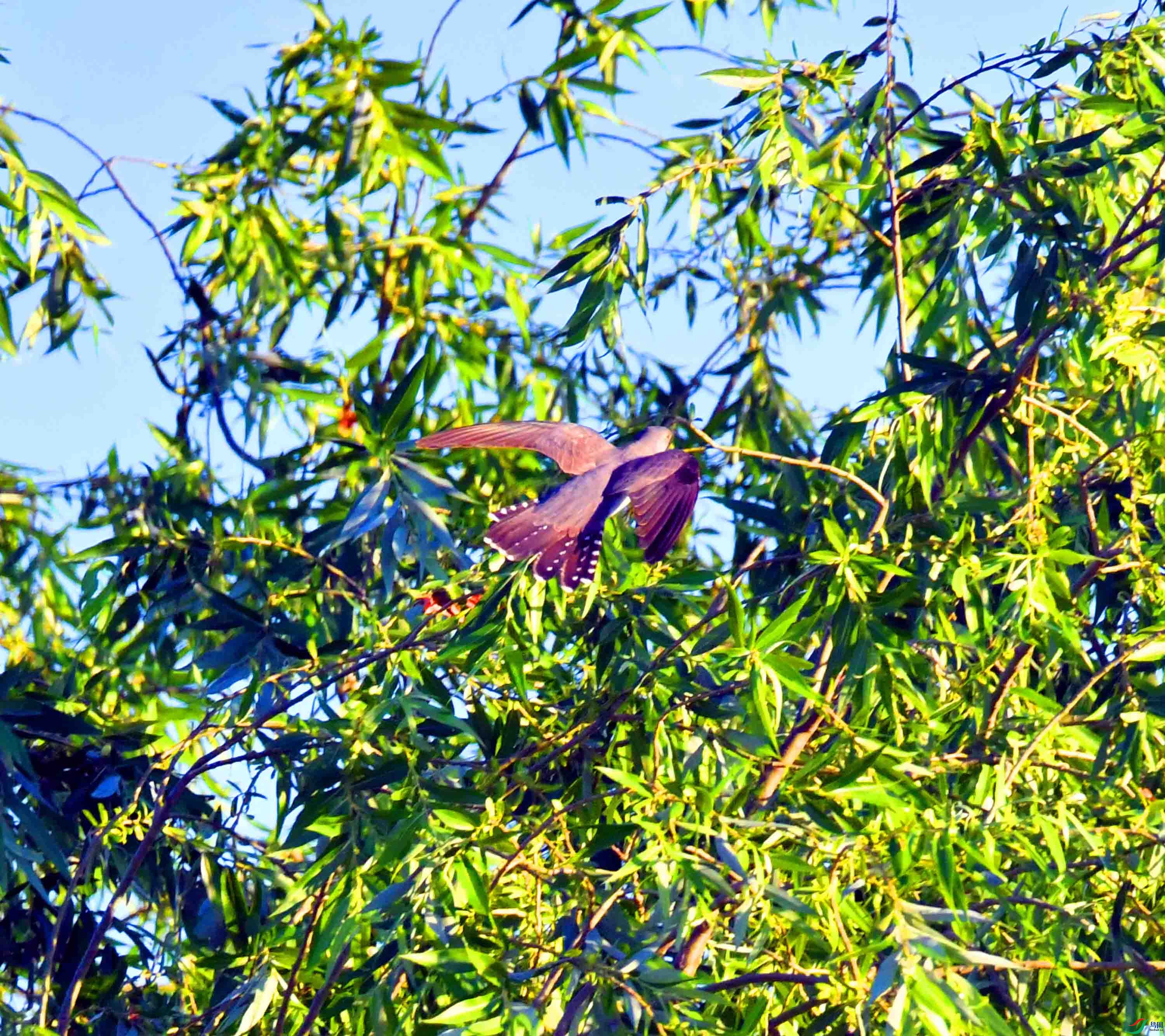 DSC_5721.JPG