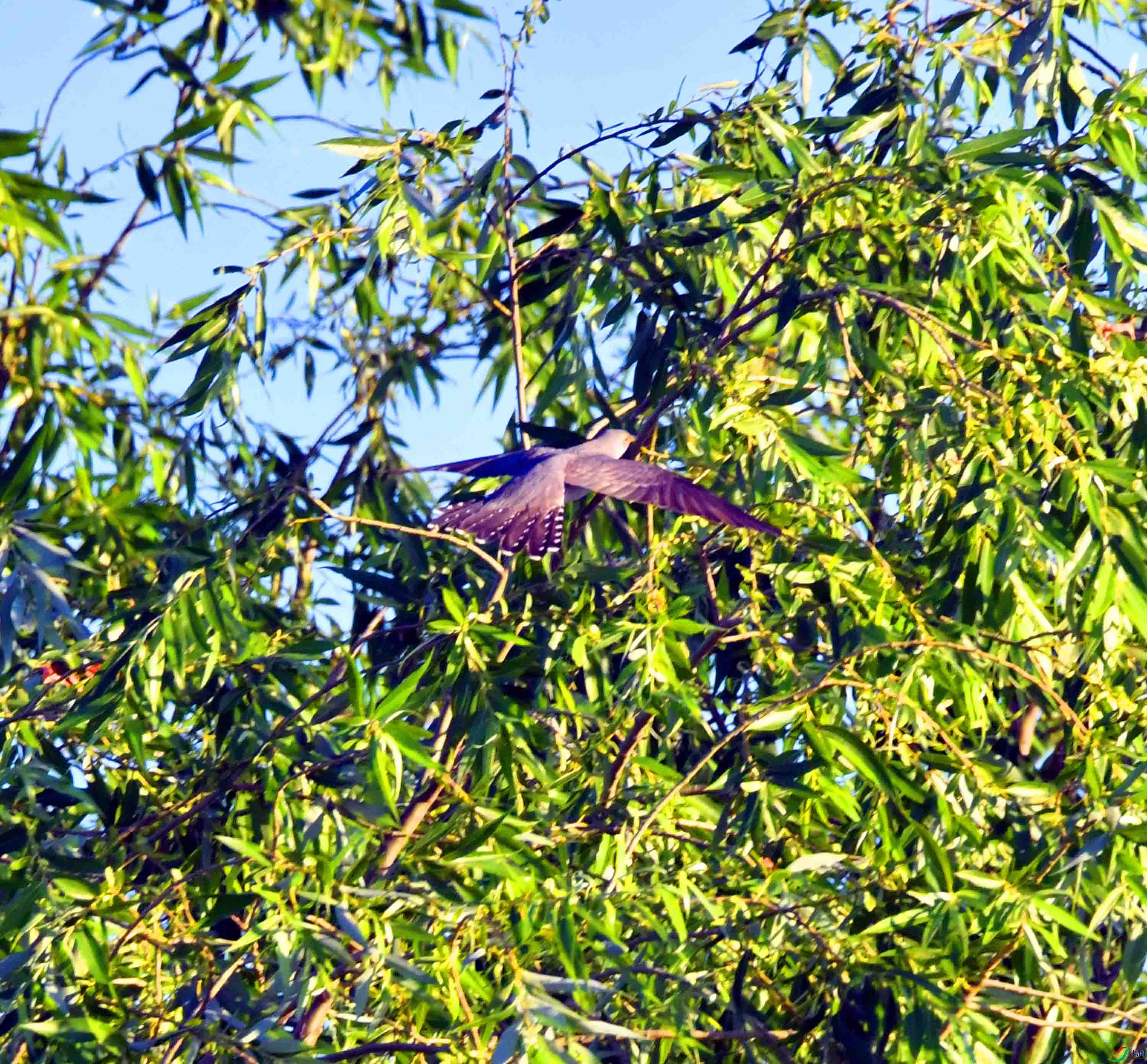 DSC_5722.JPG