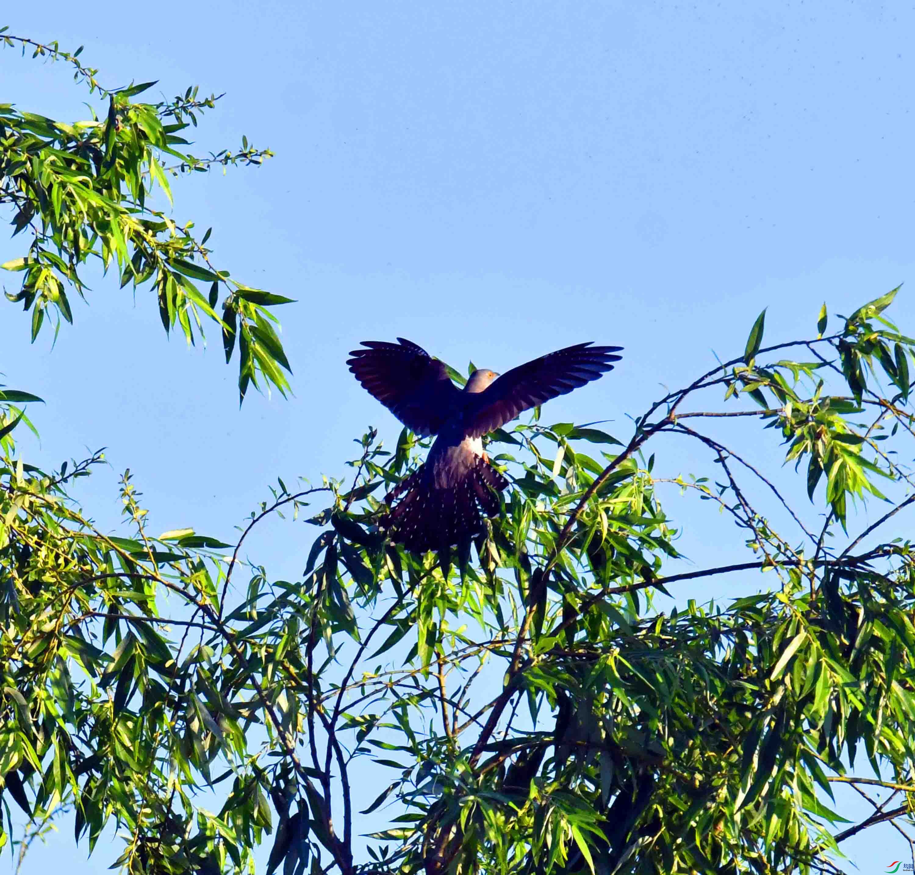 DSC_5723.JPG