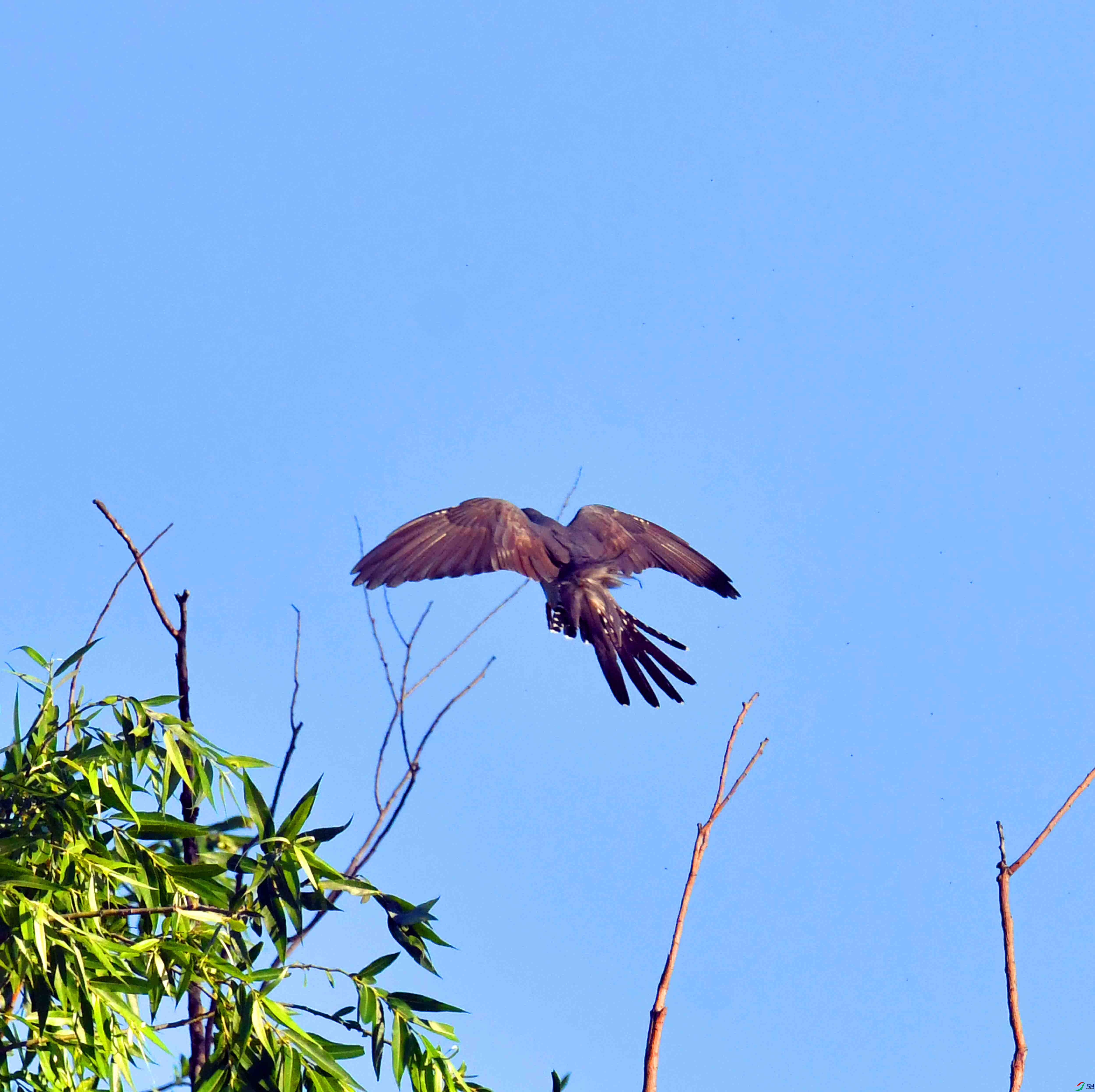 DSC_5760.JPG