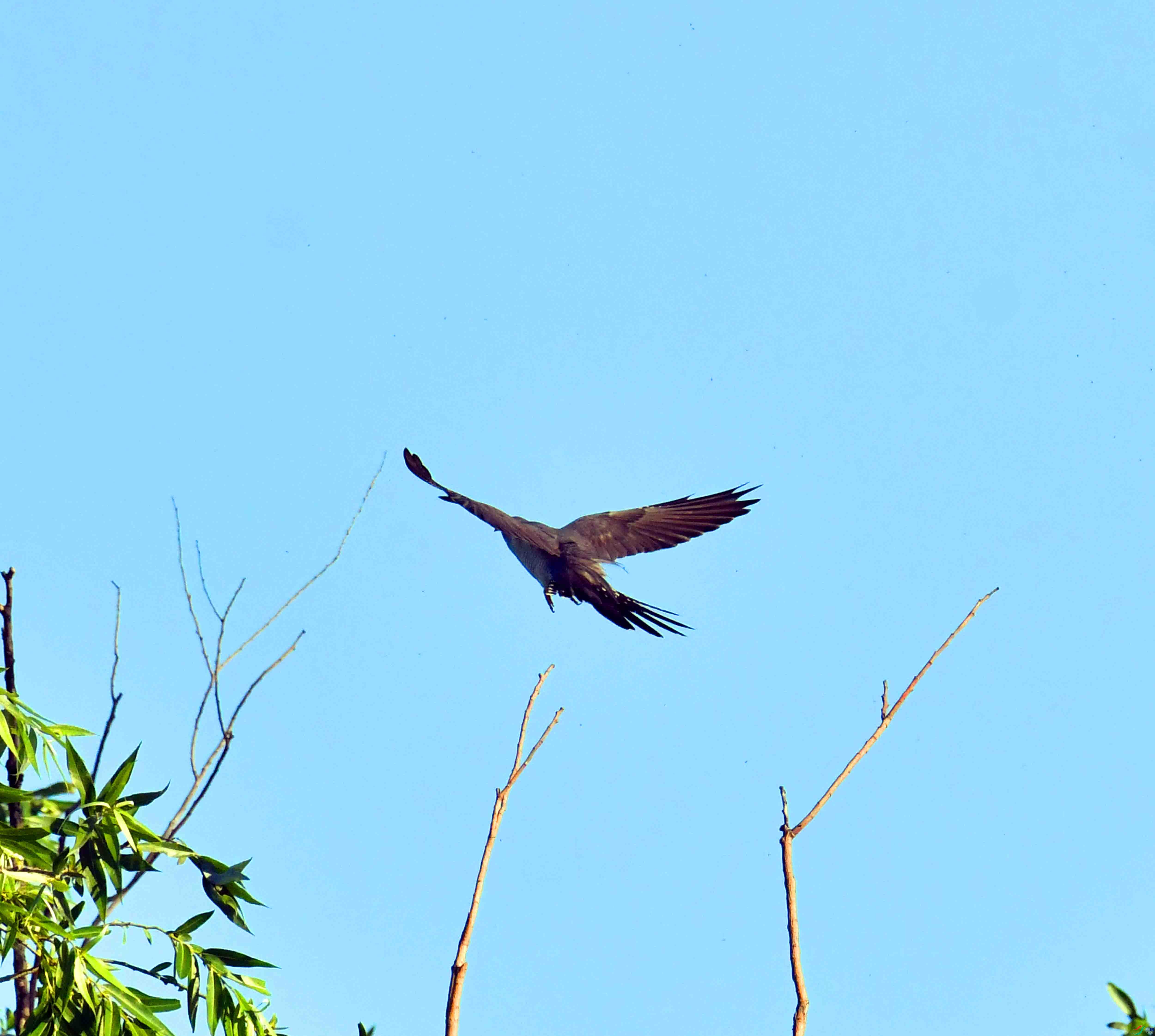 DSC_5759.JPG