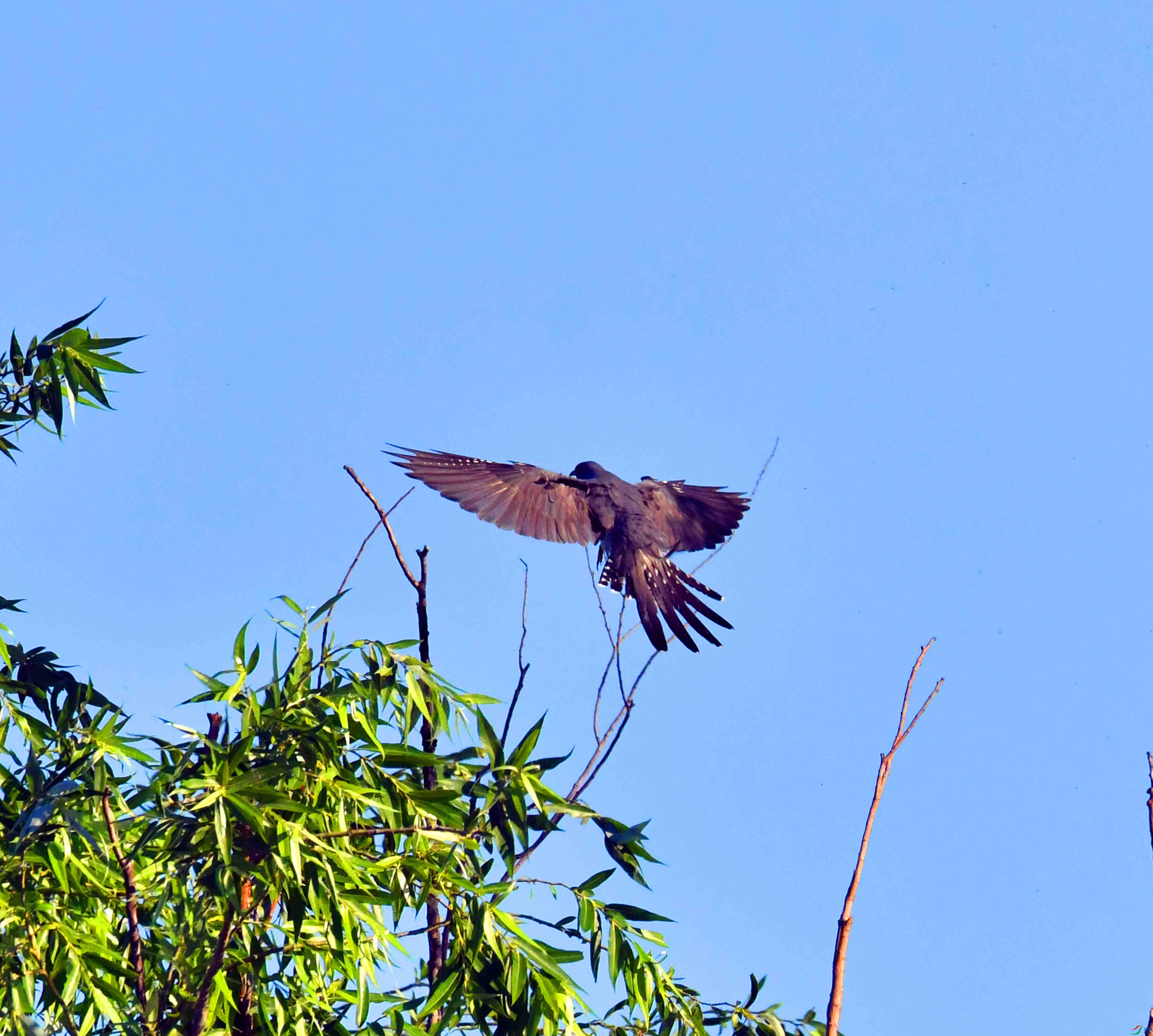 DSC_5761.JPG