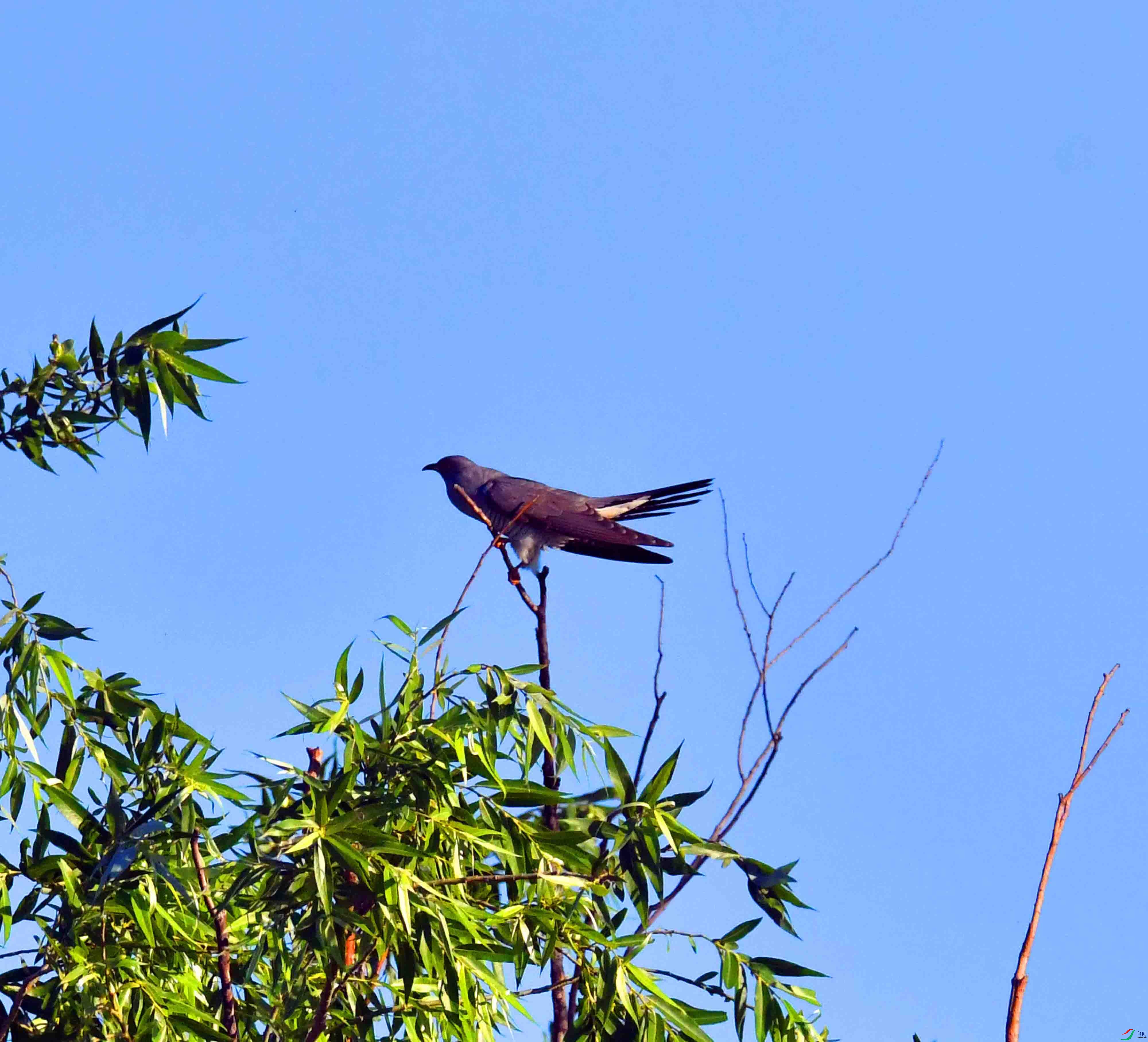 DSC_5768.JPG