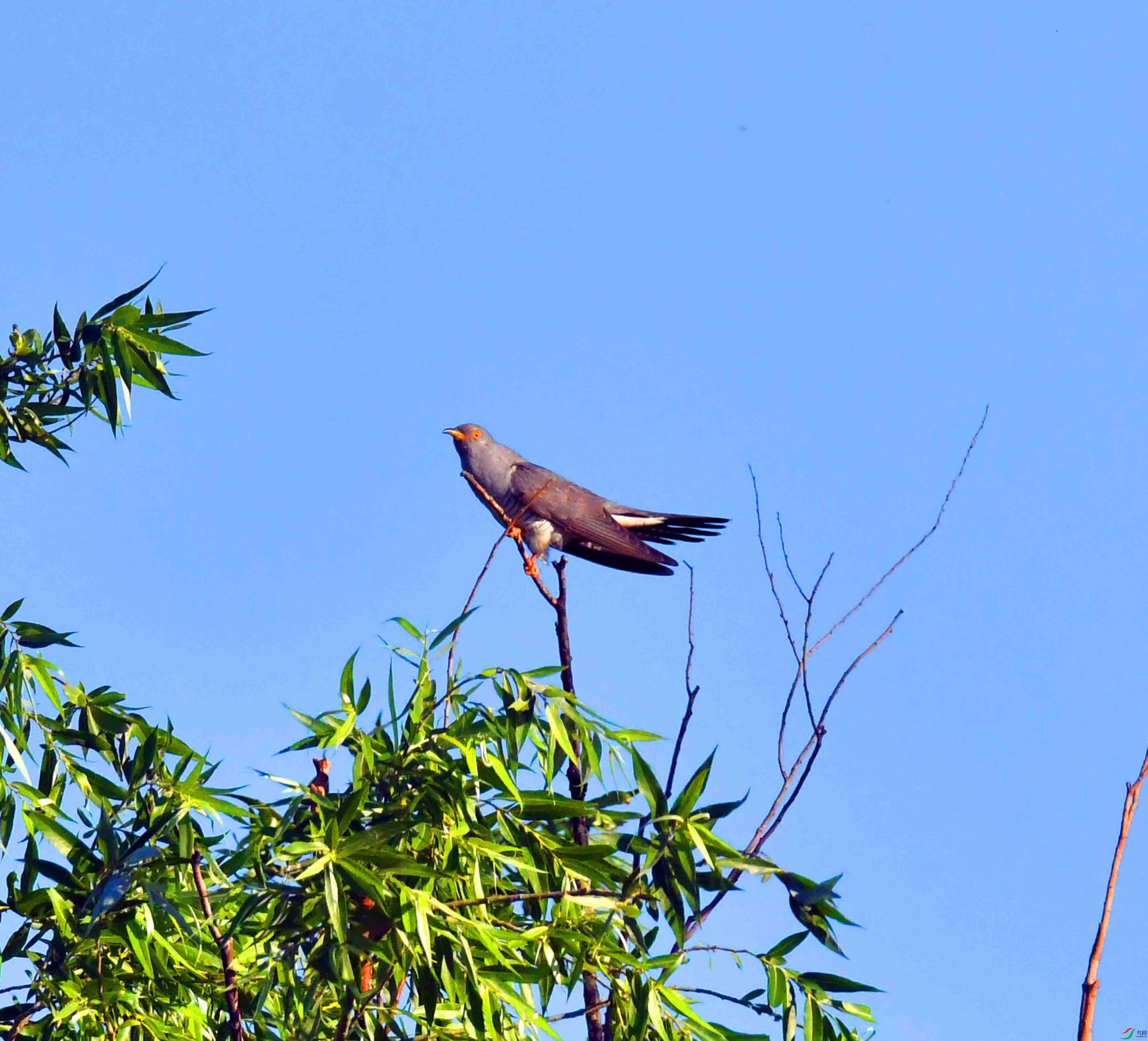 DSC_5772.JPG