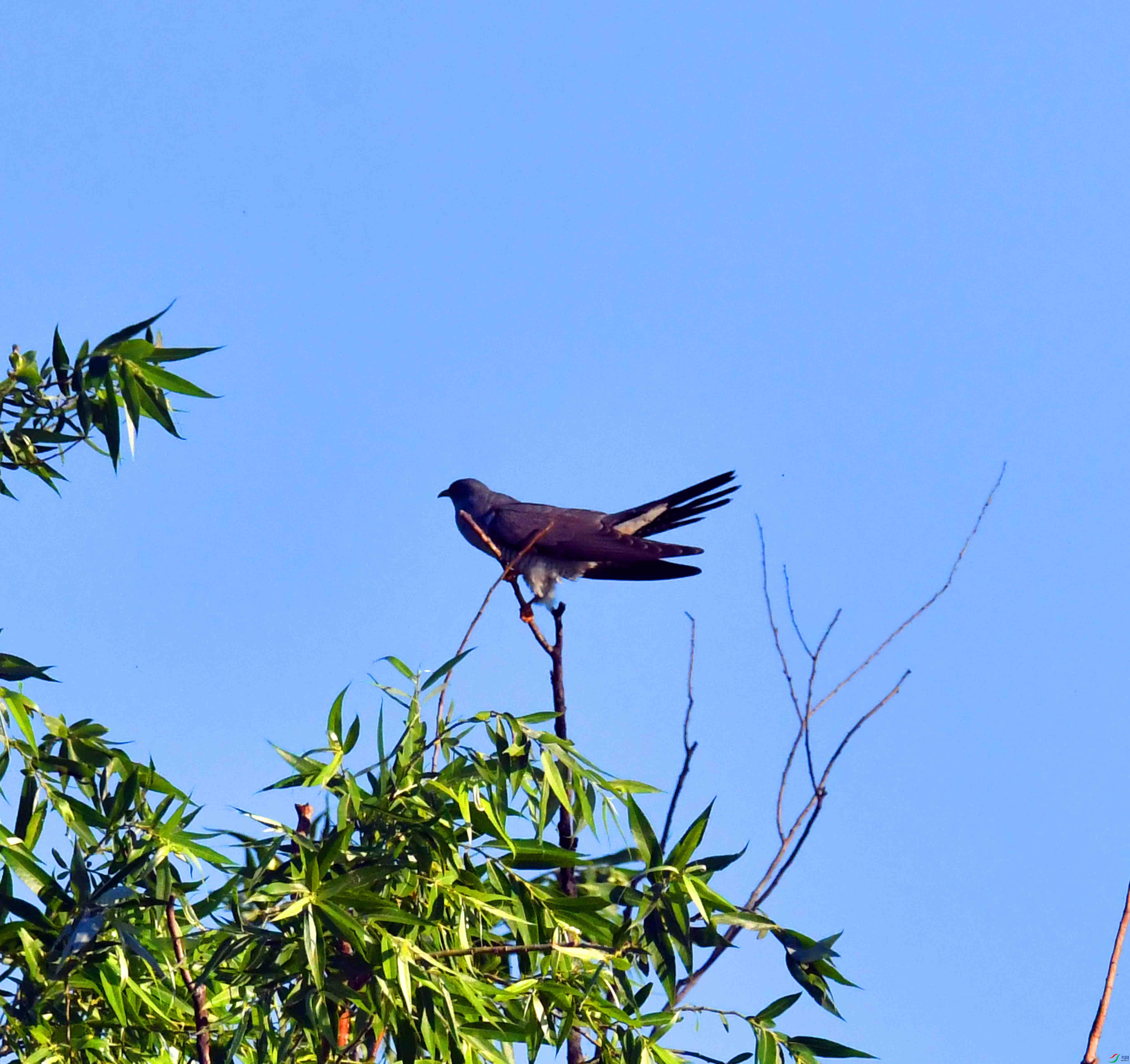 DSC_5769.JPG