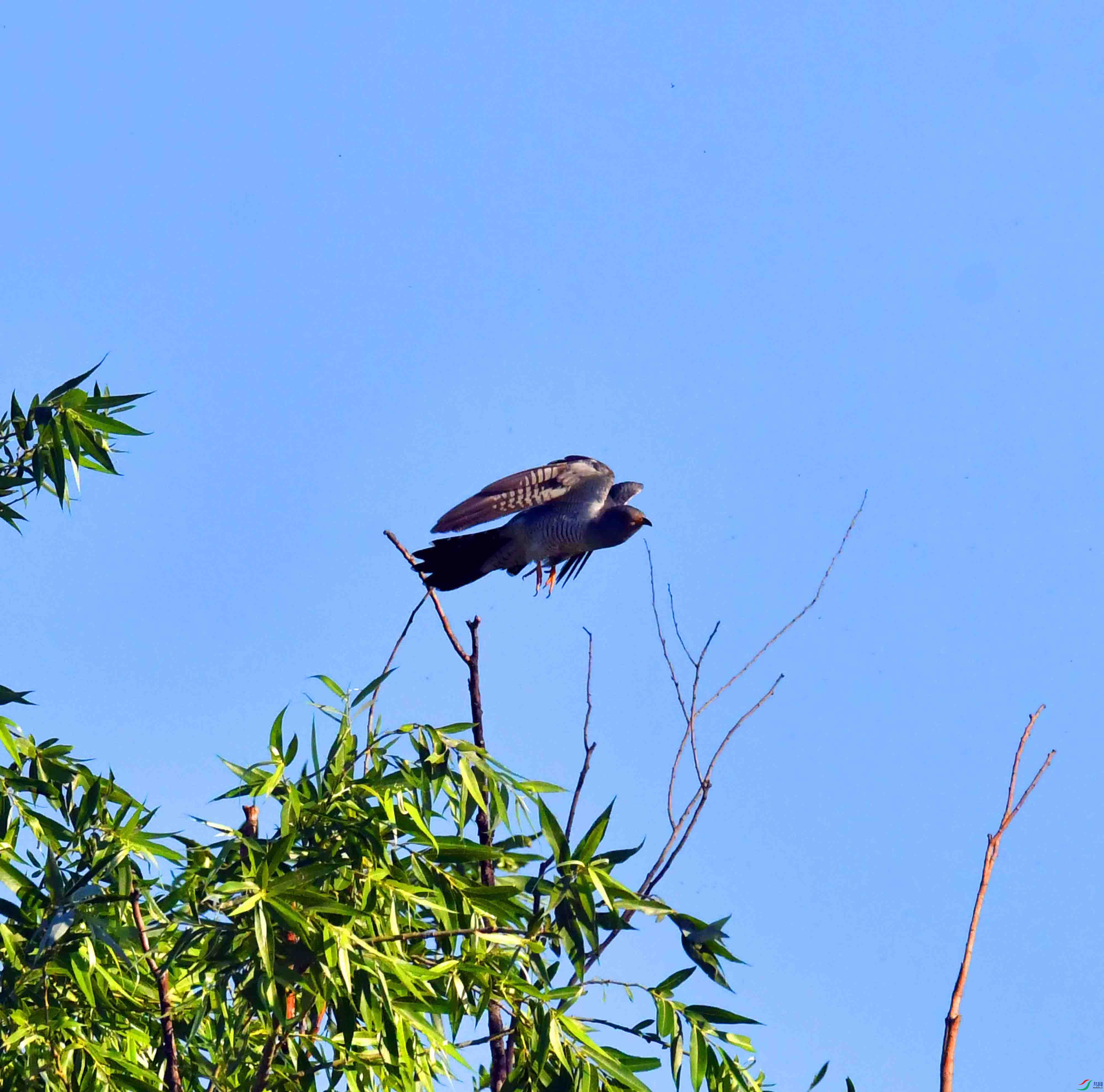 DSC_5777.JPG
