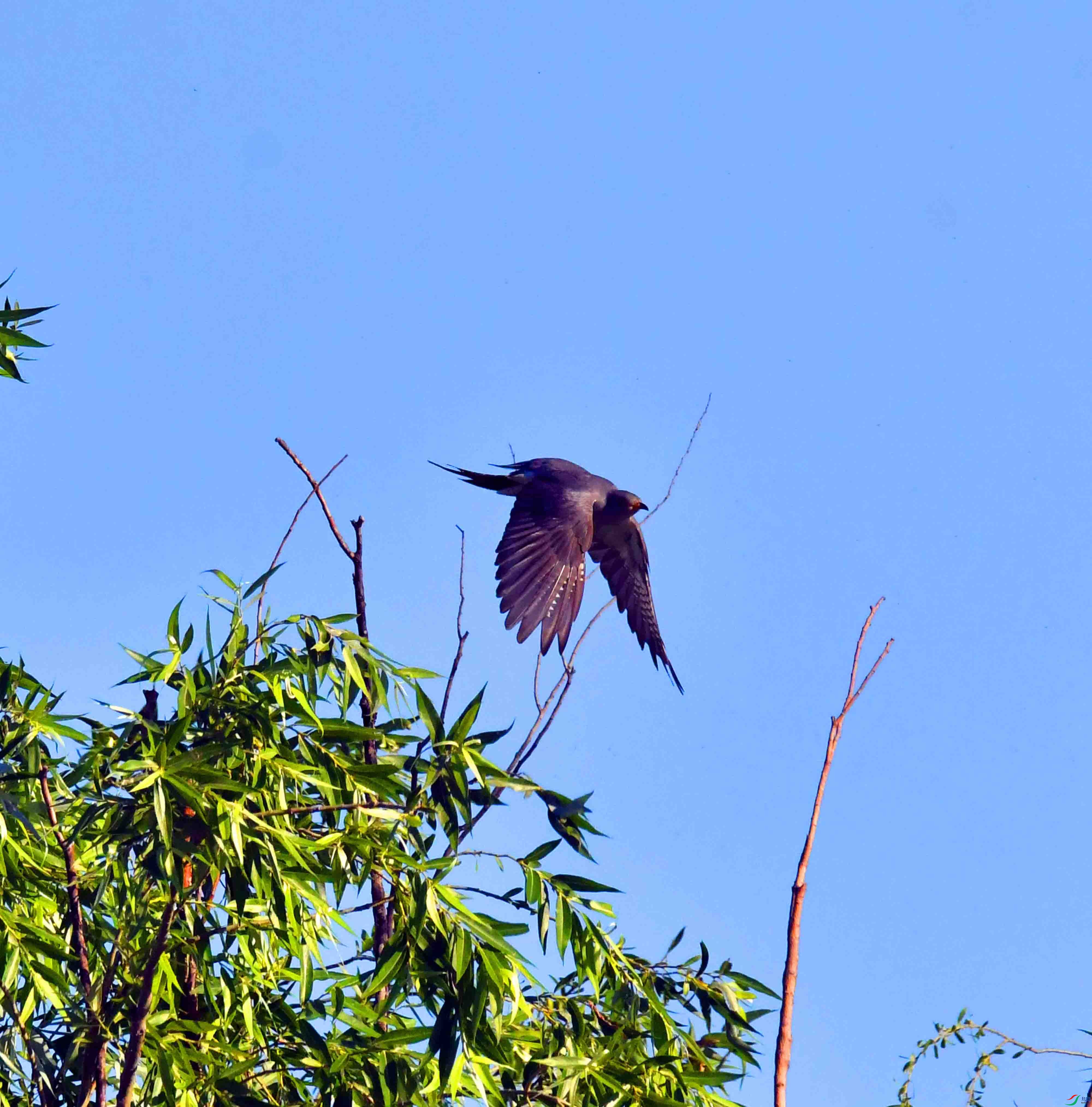 DSC_5778.JPG