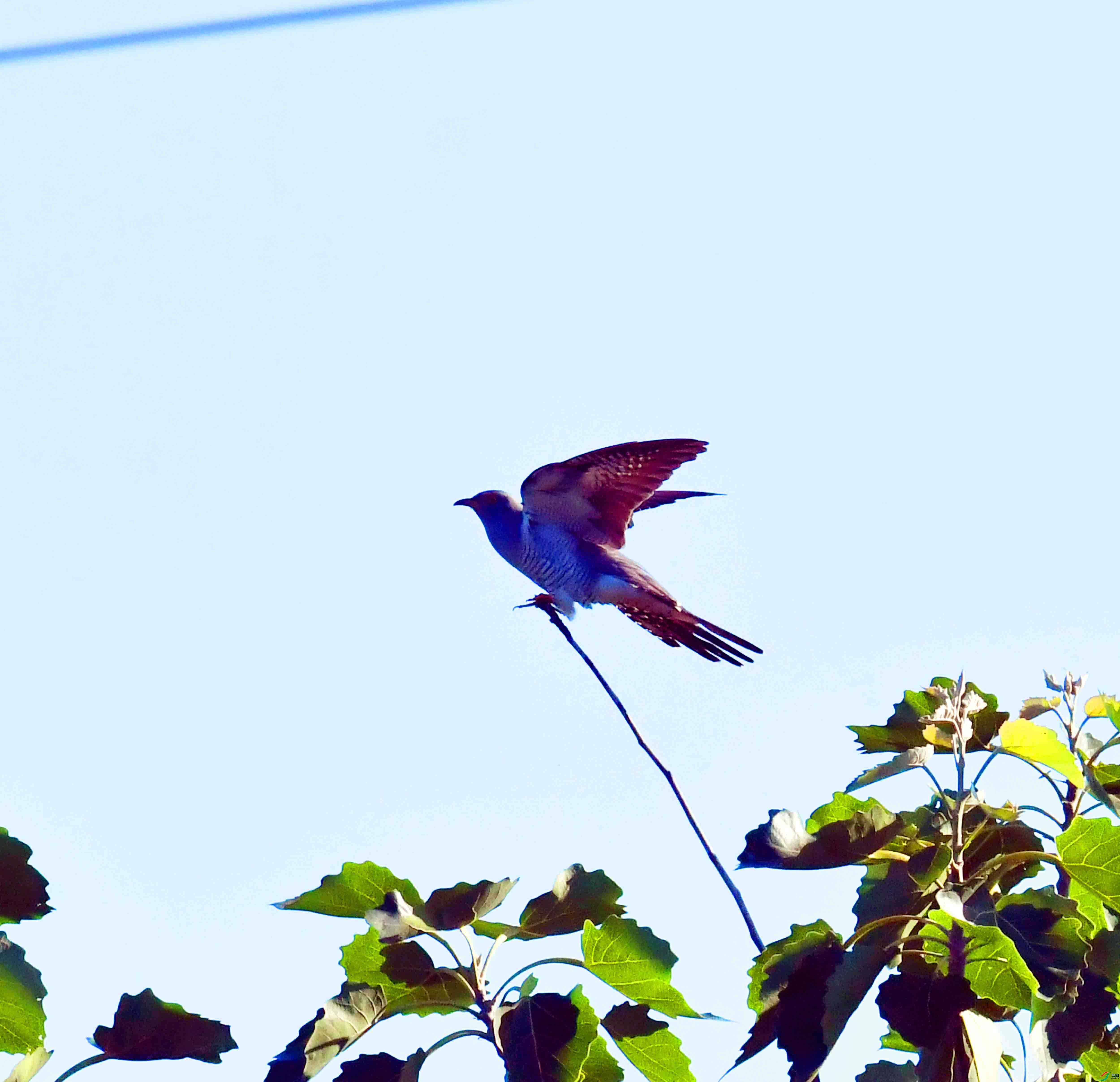 DSC_5795.JPG