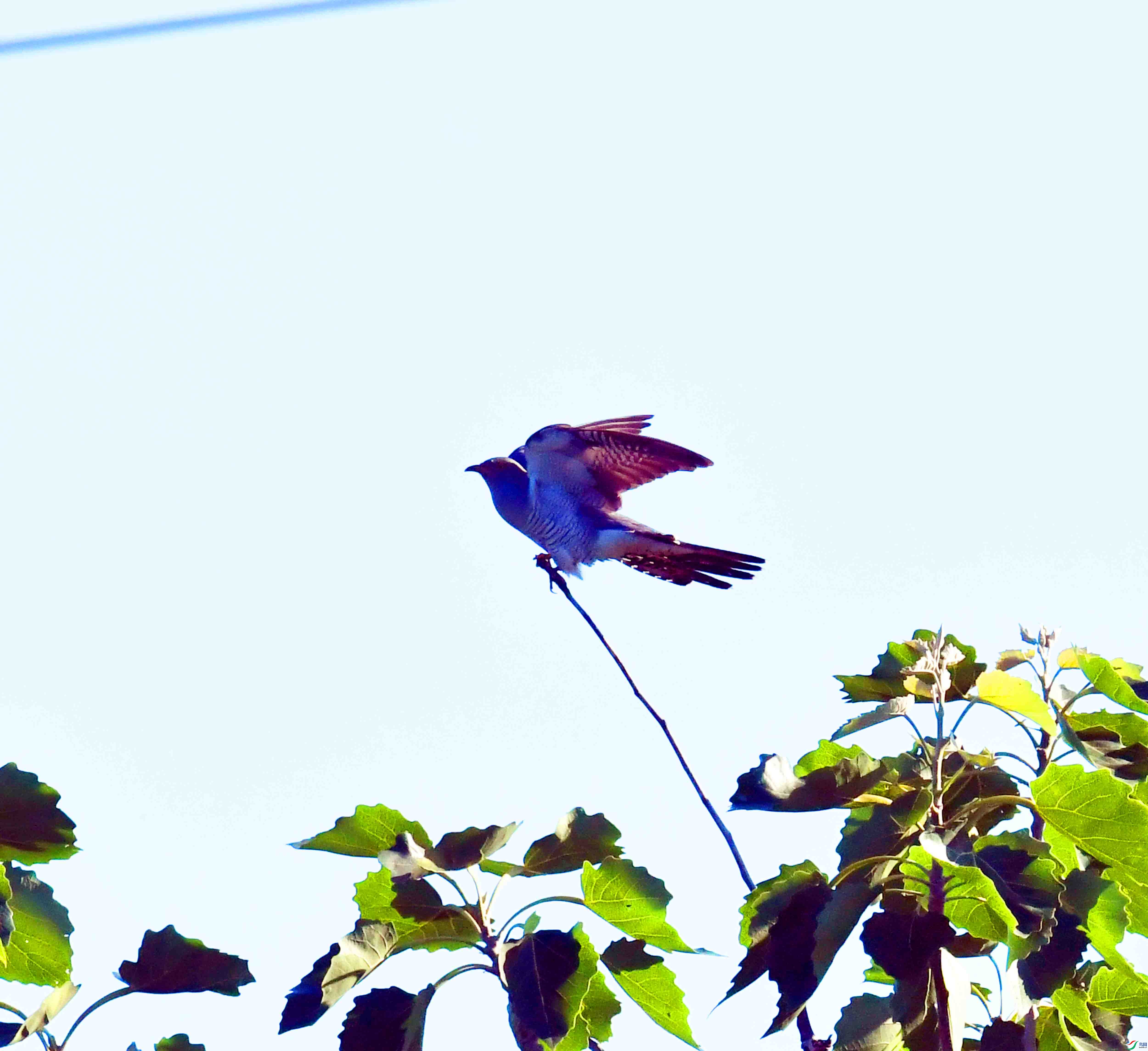 DSC_5794.JPG