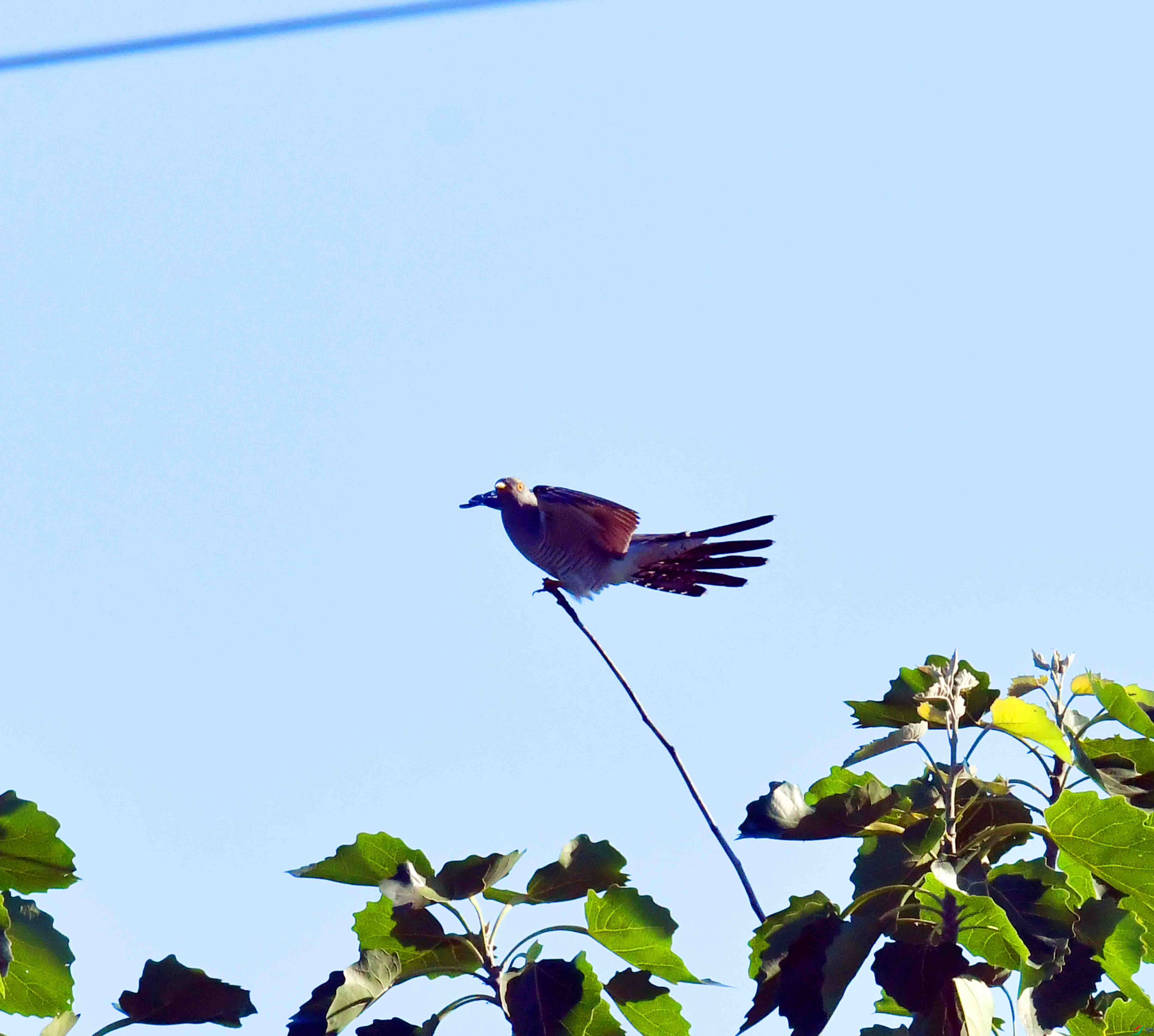 DSC_5798.JPG