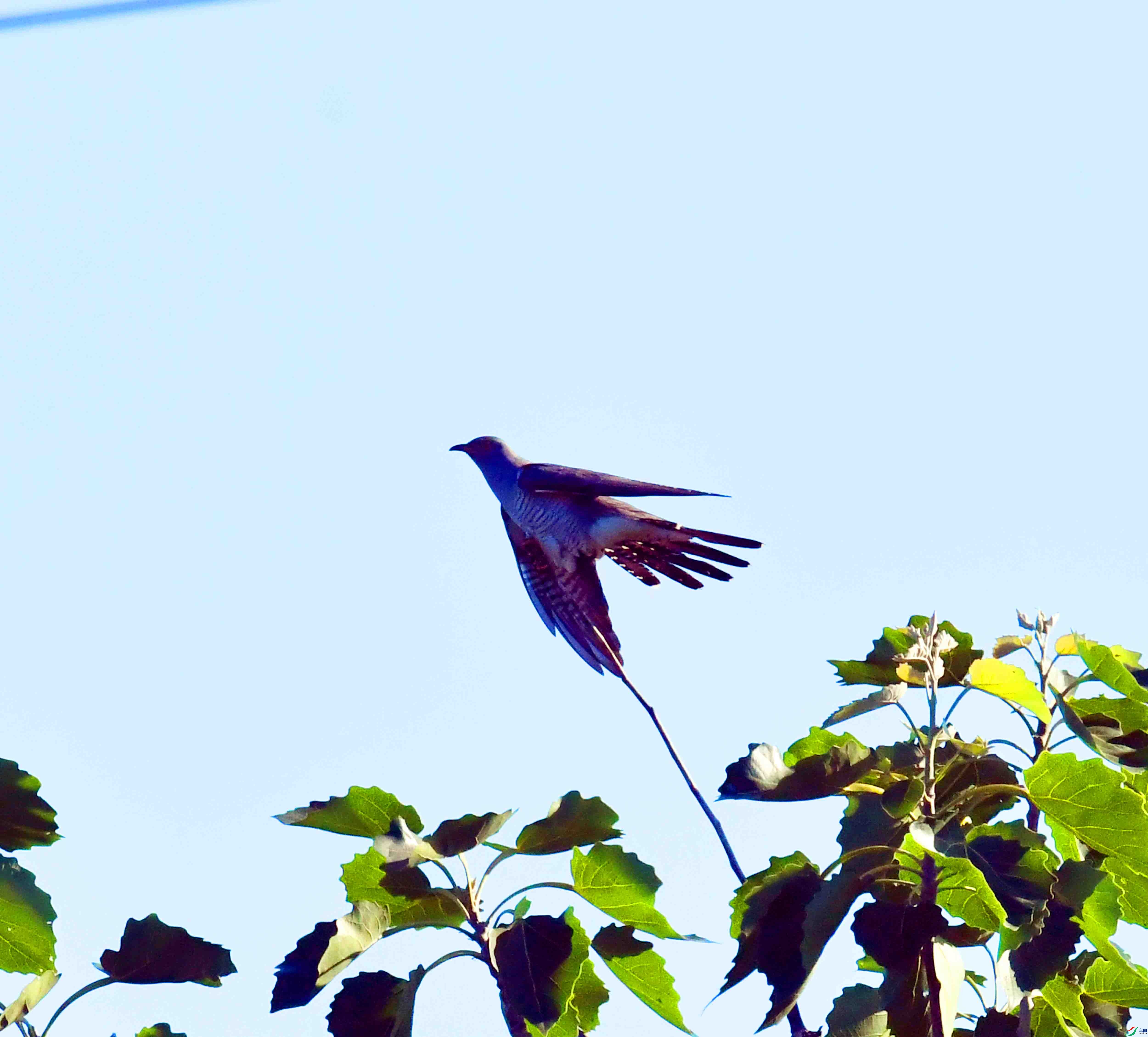DSC_5803.JPG