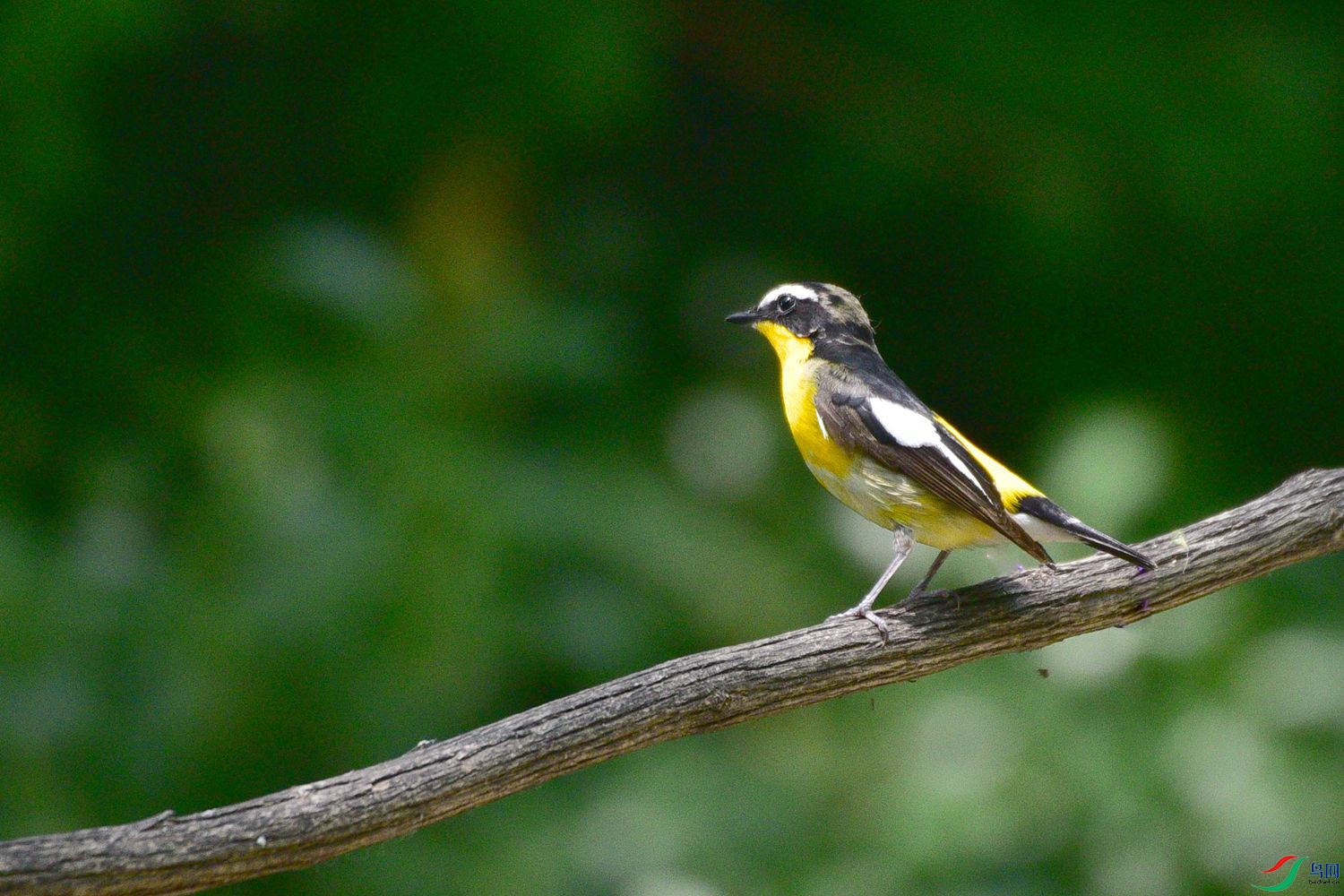DSC_6043.JPG