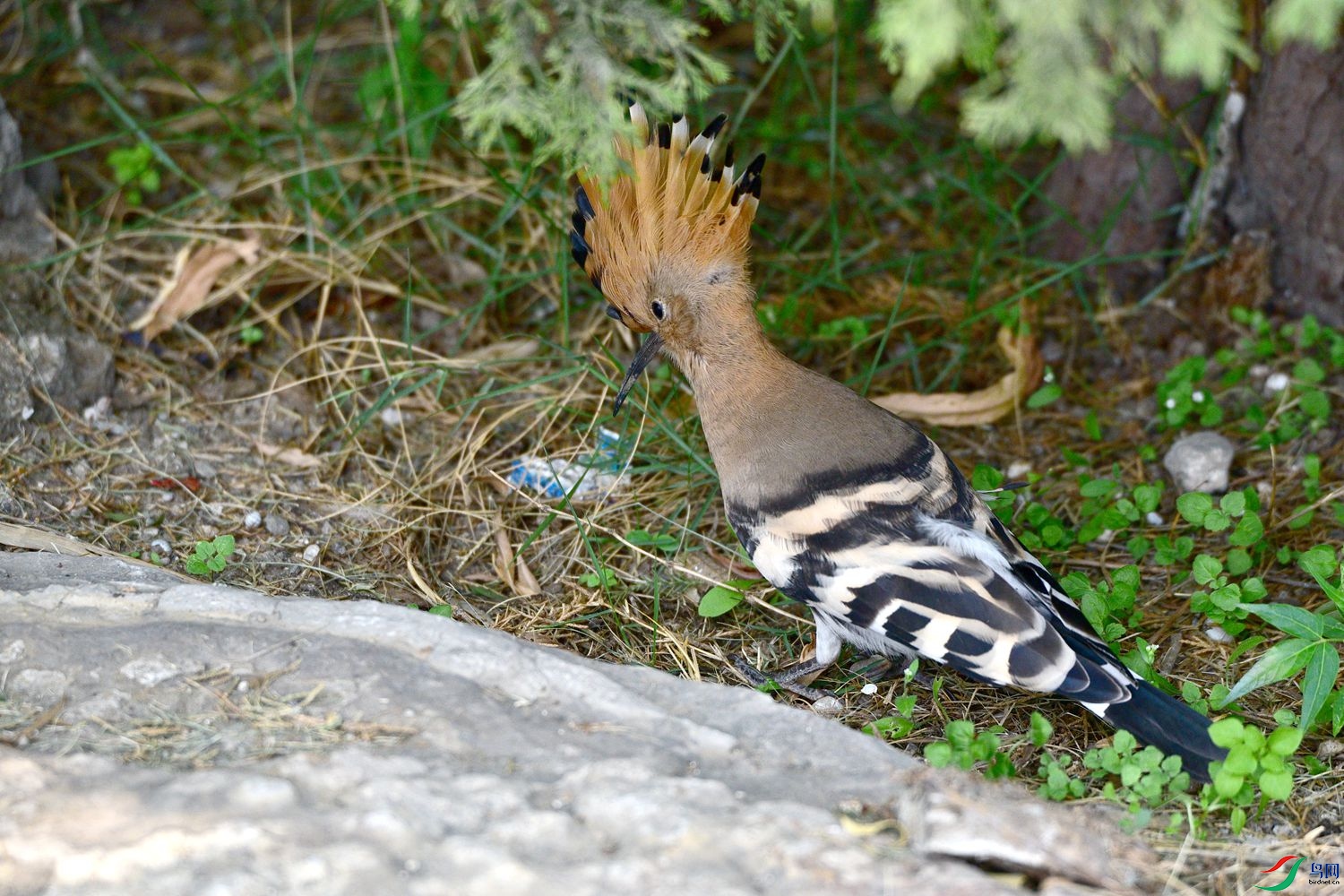 DSC_8048.JPG