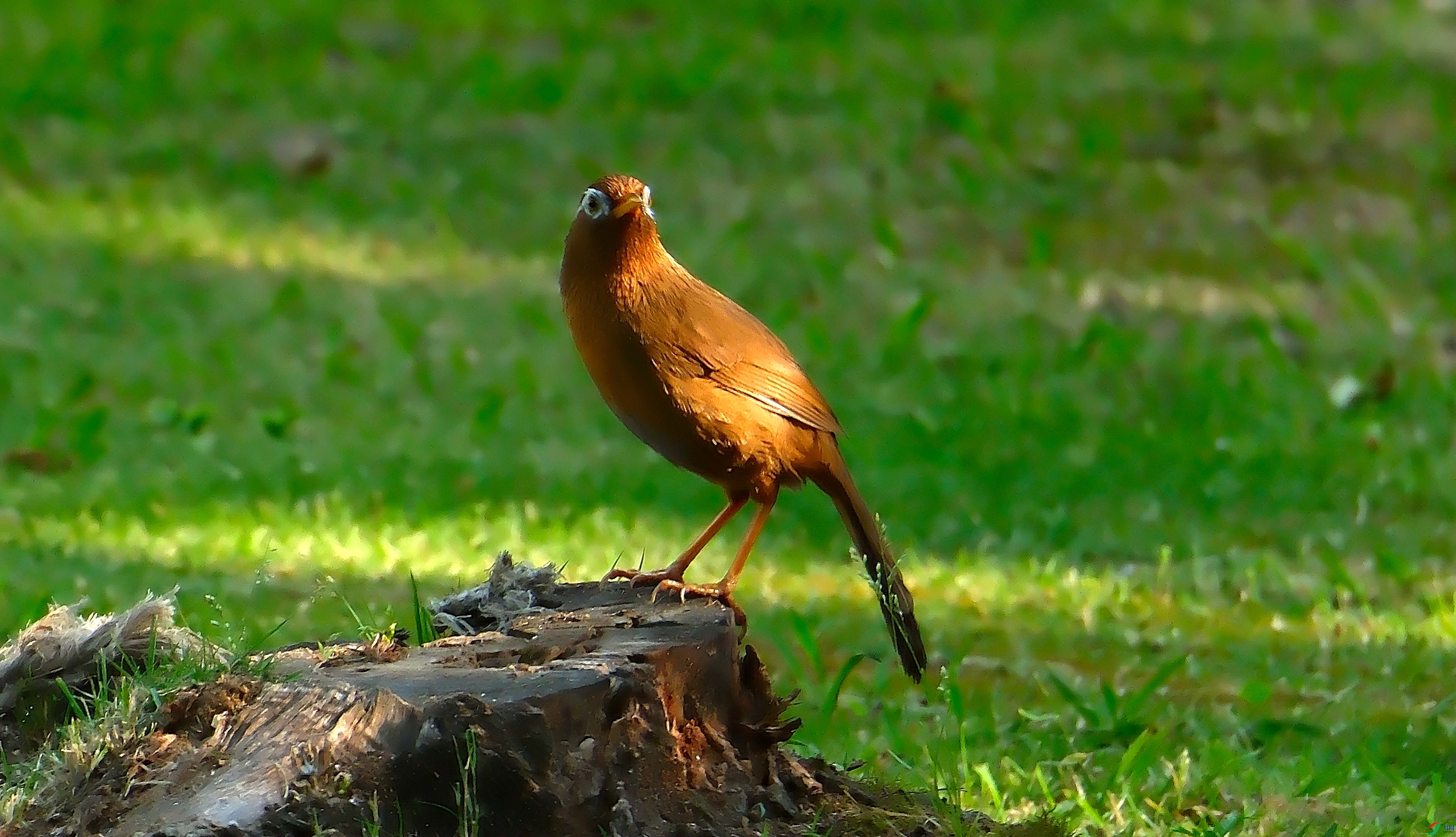 DSCF9766.jpg