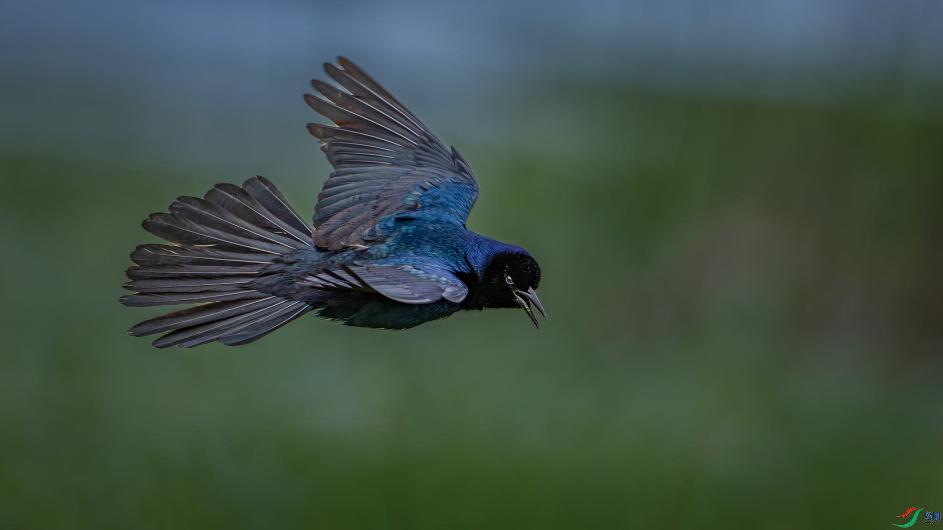 498A7379_1.jpg
