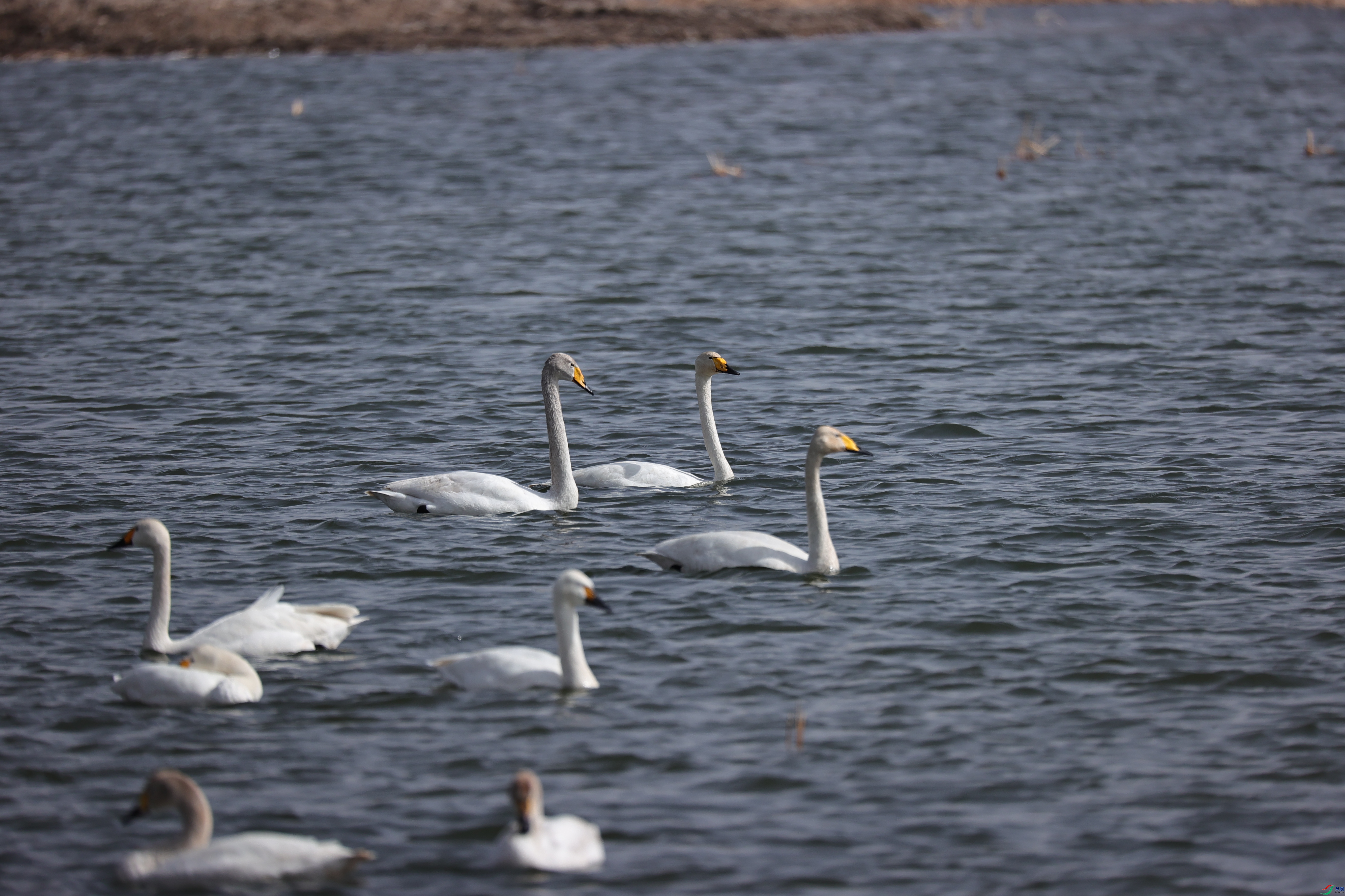�����15