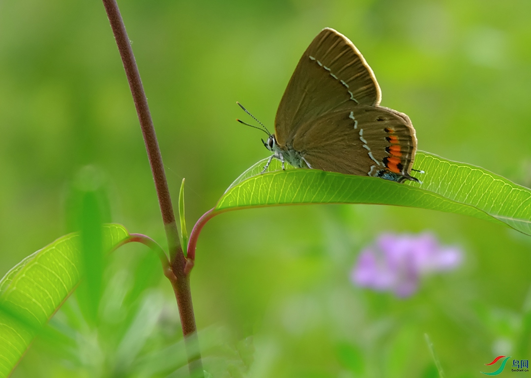 DSCF0457.jpg