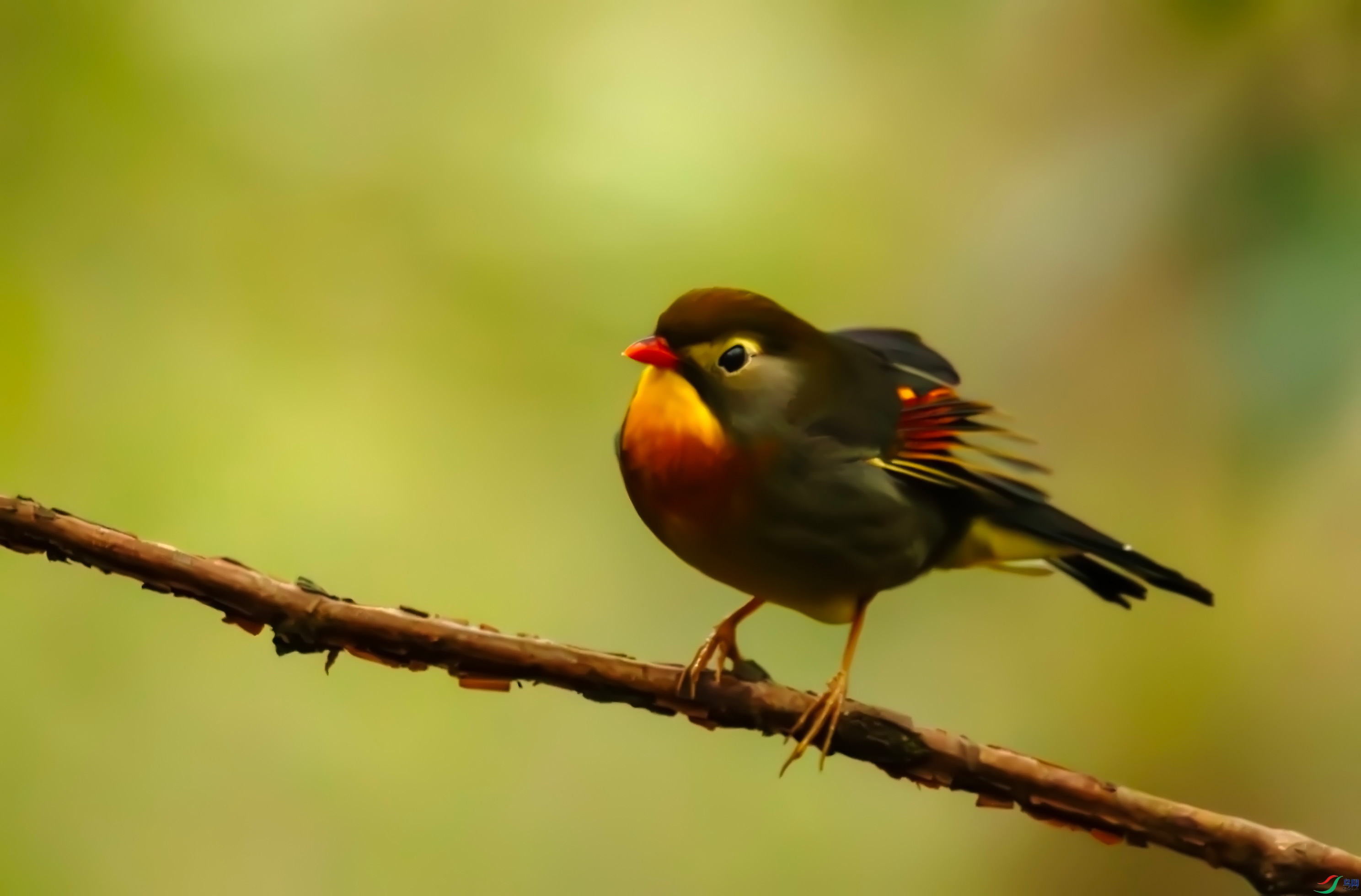 ������˼��