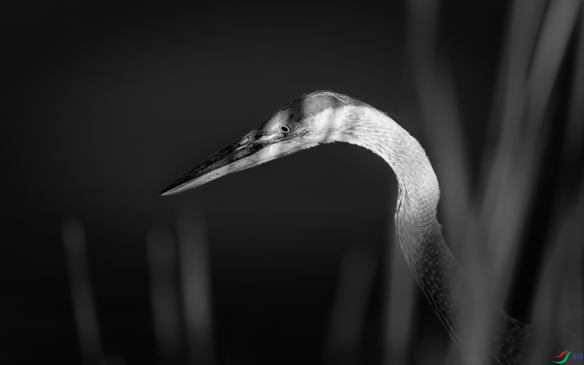 498A7307_1.jpg