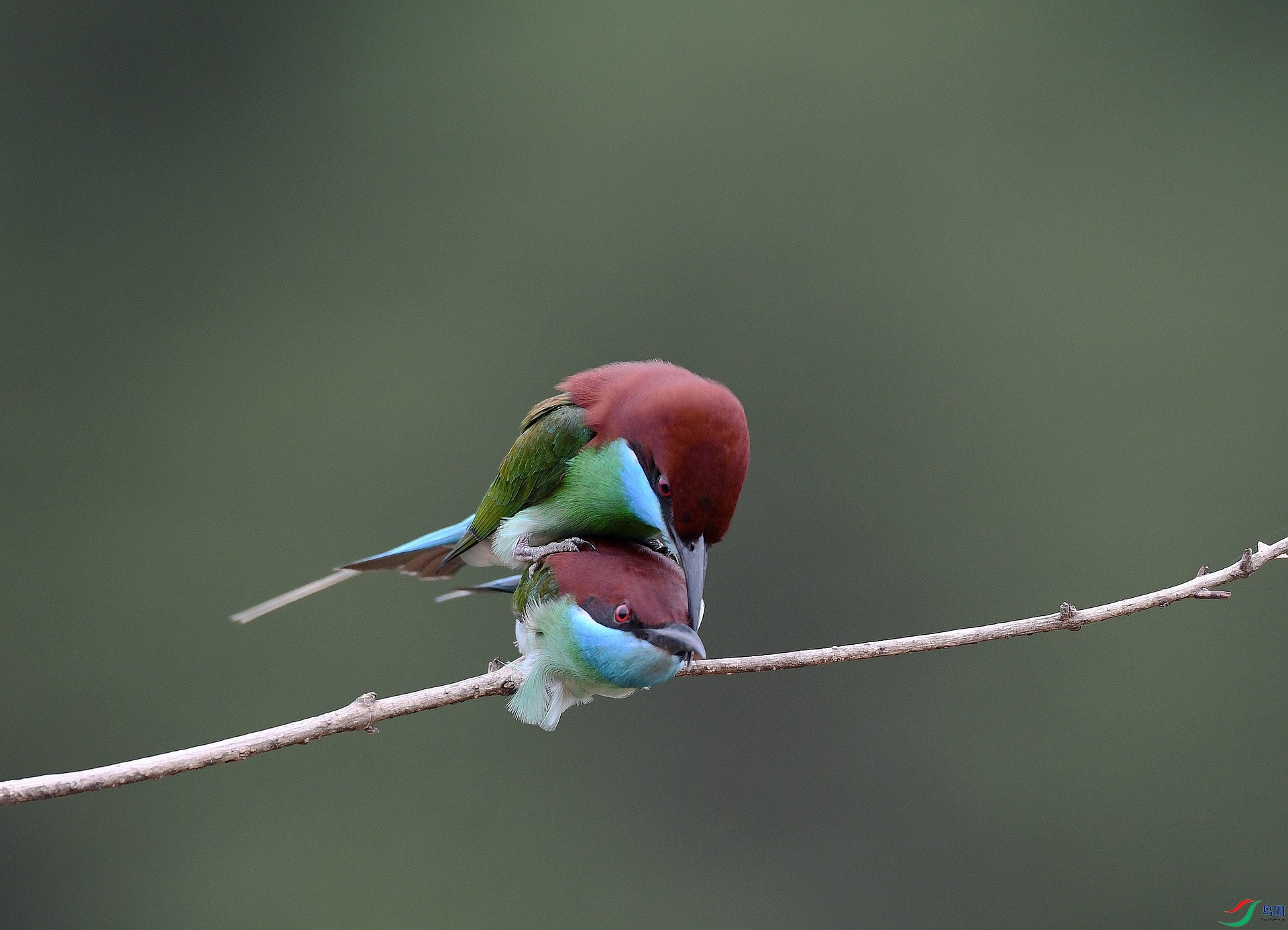 DSC_2021.jpg
