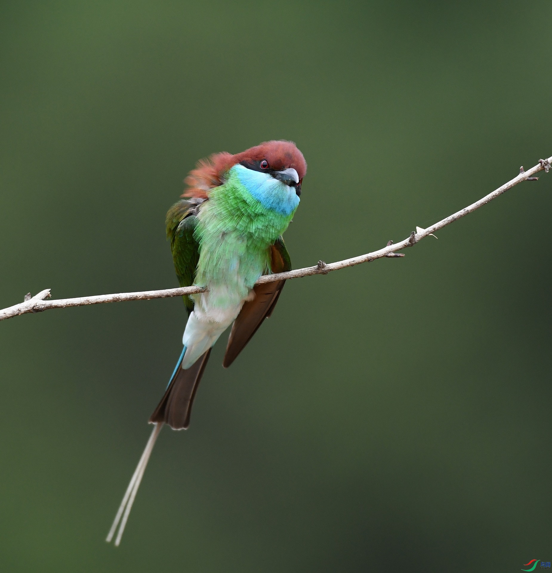 DSC_2132.jpg