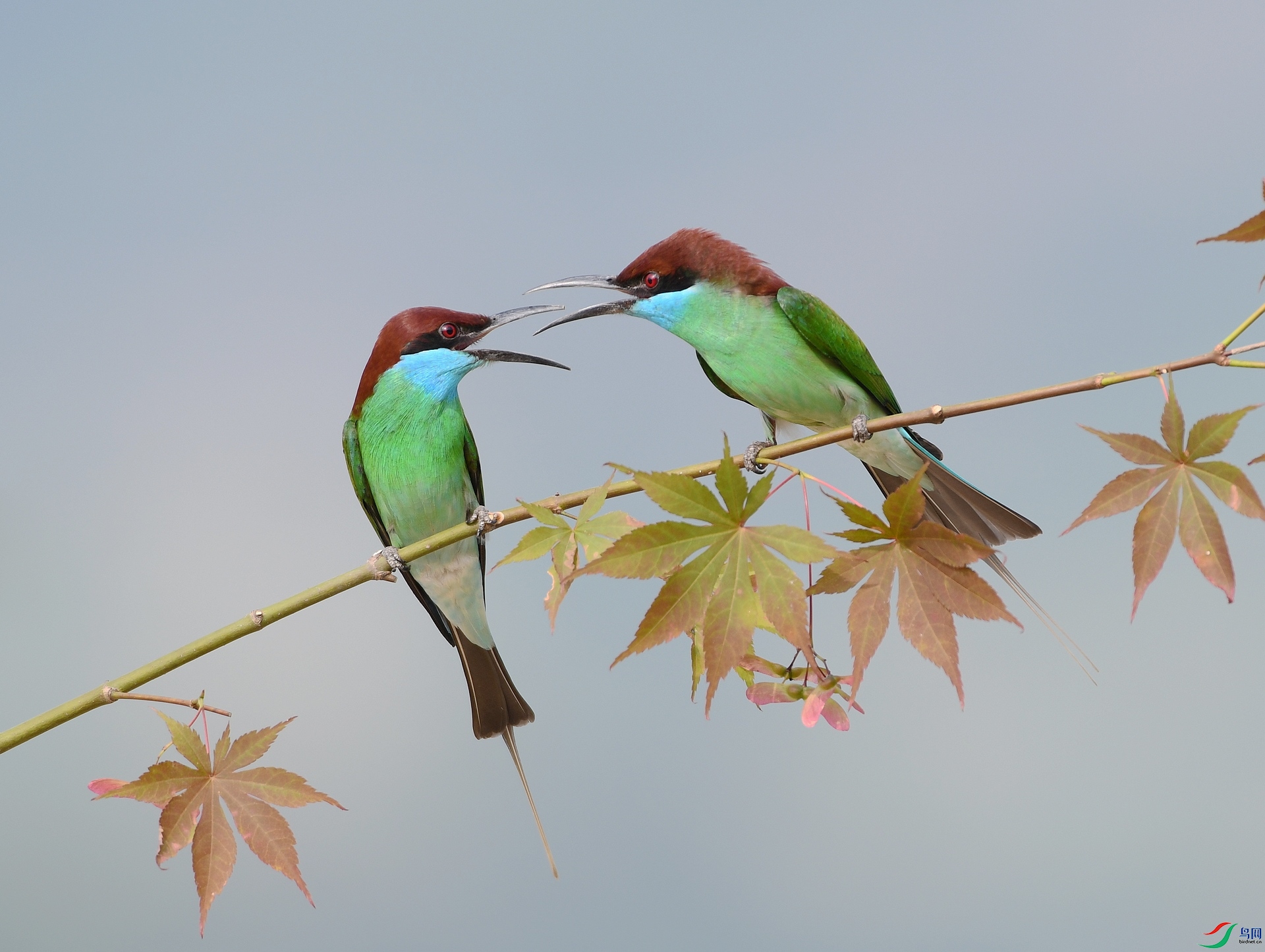 DSC_5042.jpg