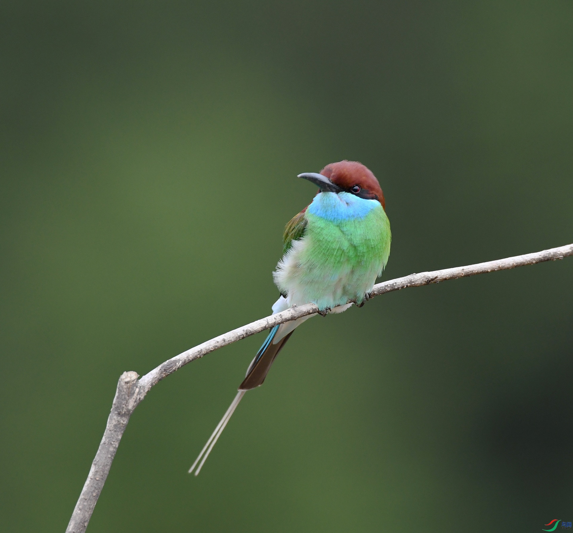 DSC_1849.jpg
