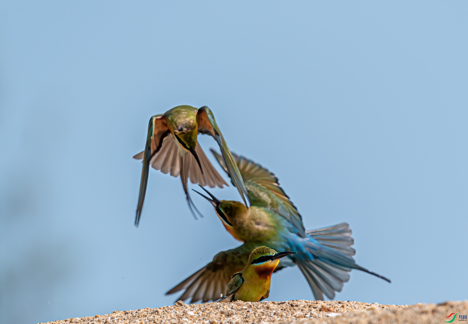 DSC_3400-11.jpg