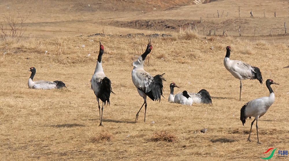 DSCF6420.1.jpg