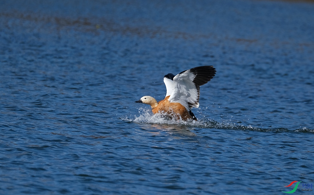 DSCF8114.1.jpg