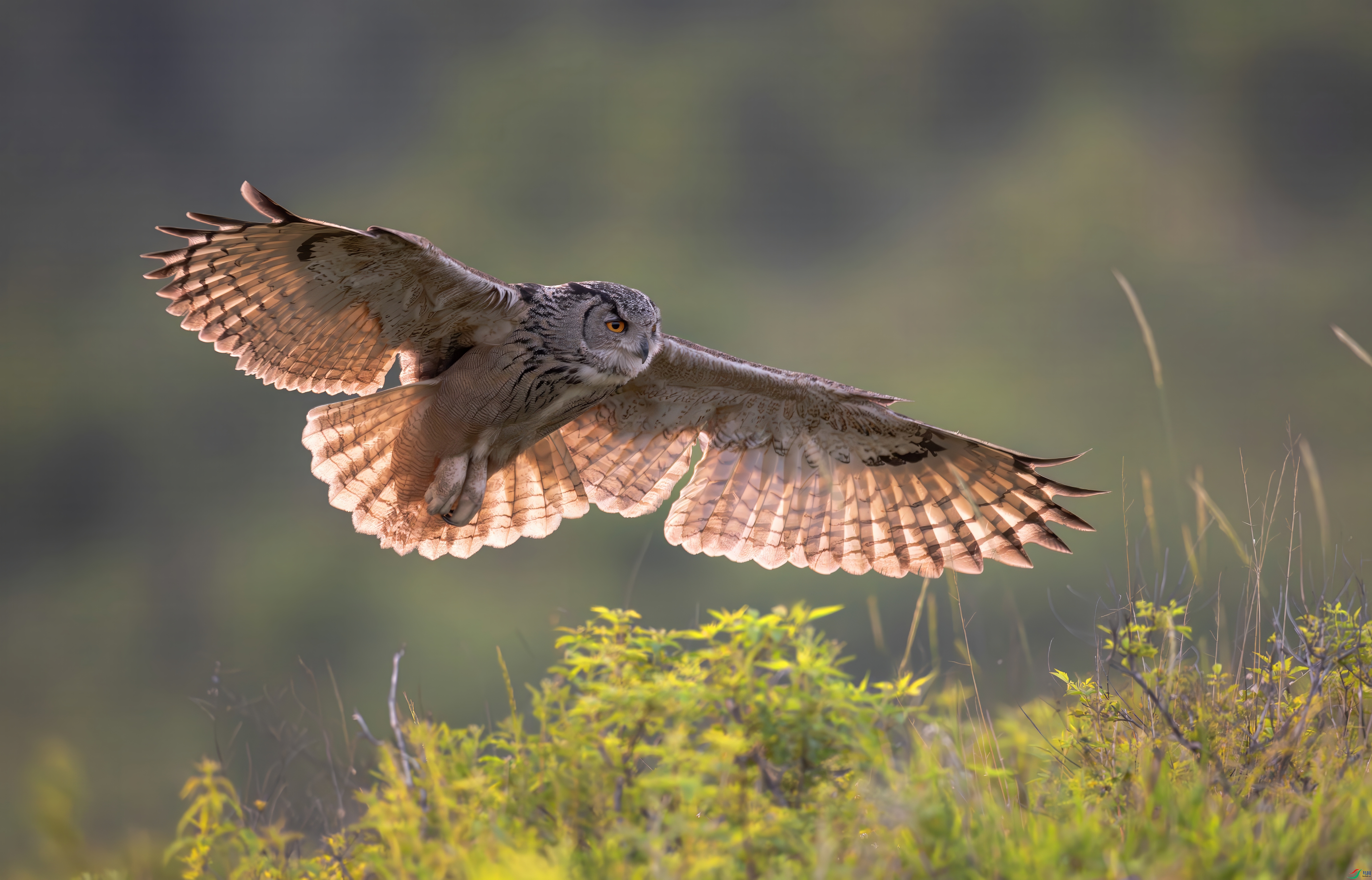 0L0A7760-topaz-denoise.jpeg