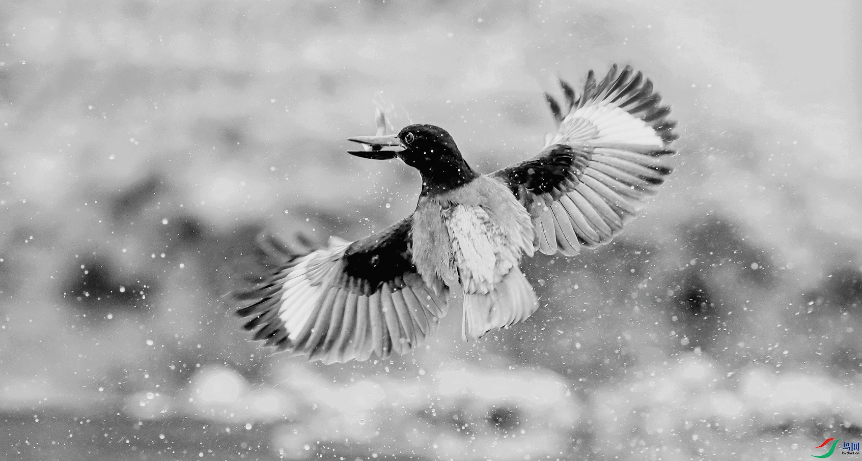 115_����.jpg