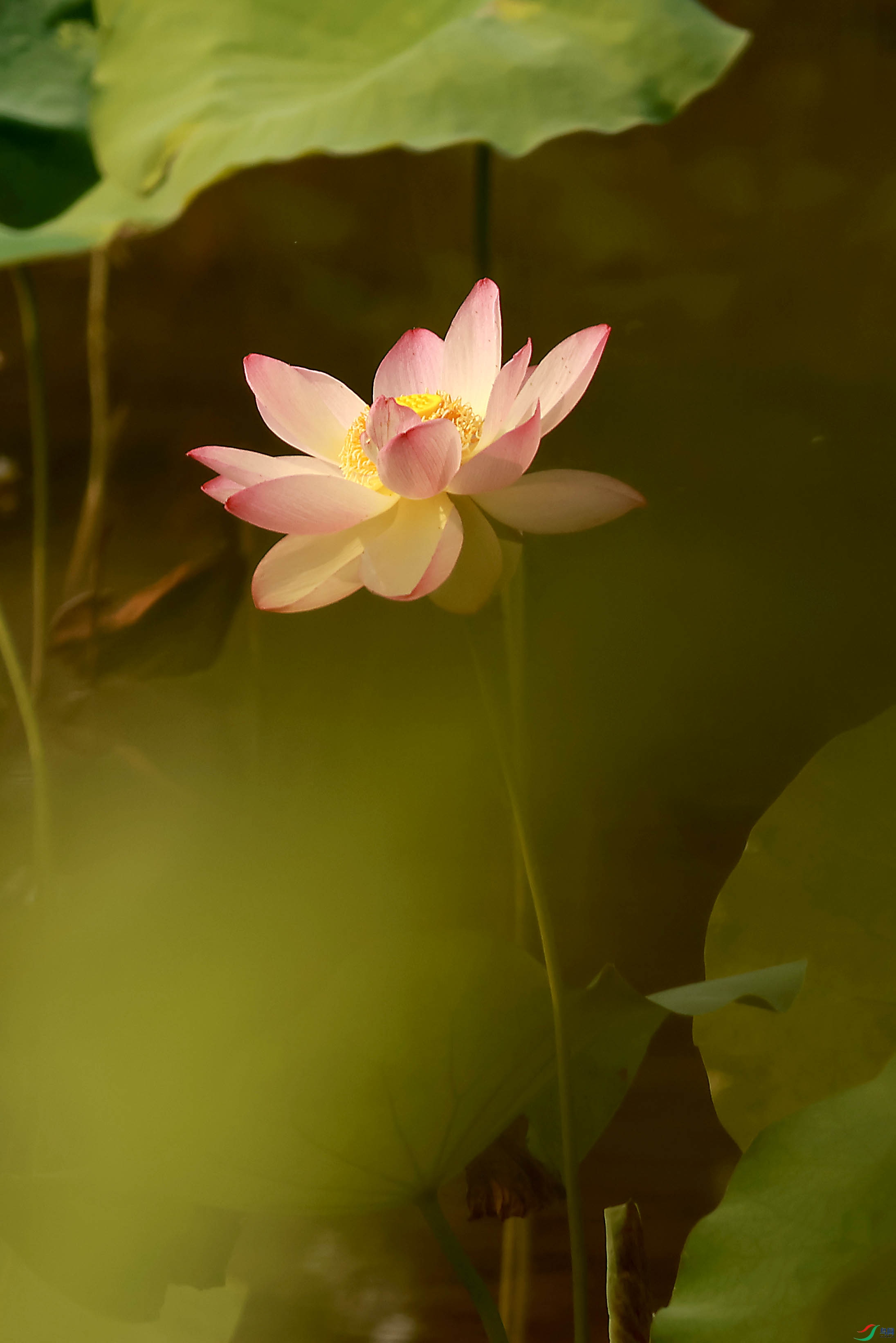 2G9A9566.JPG