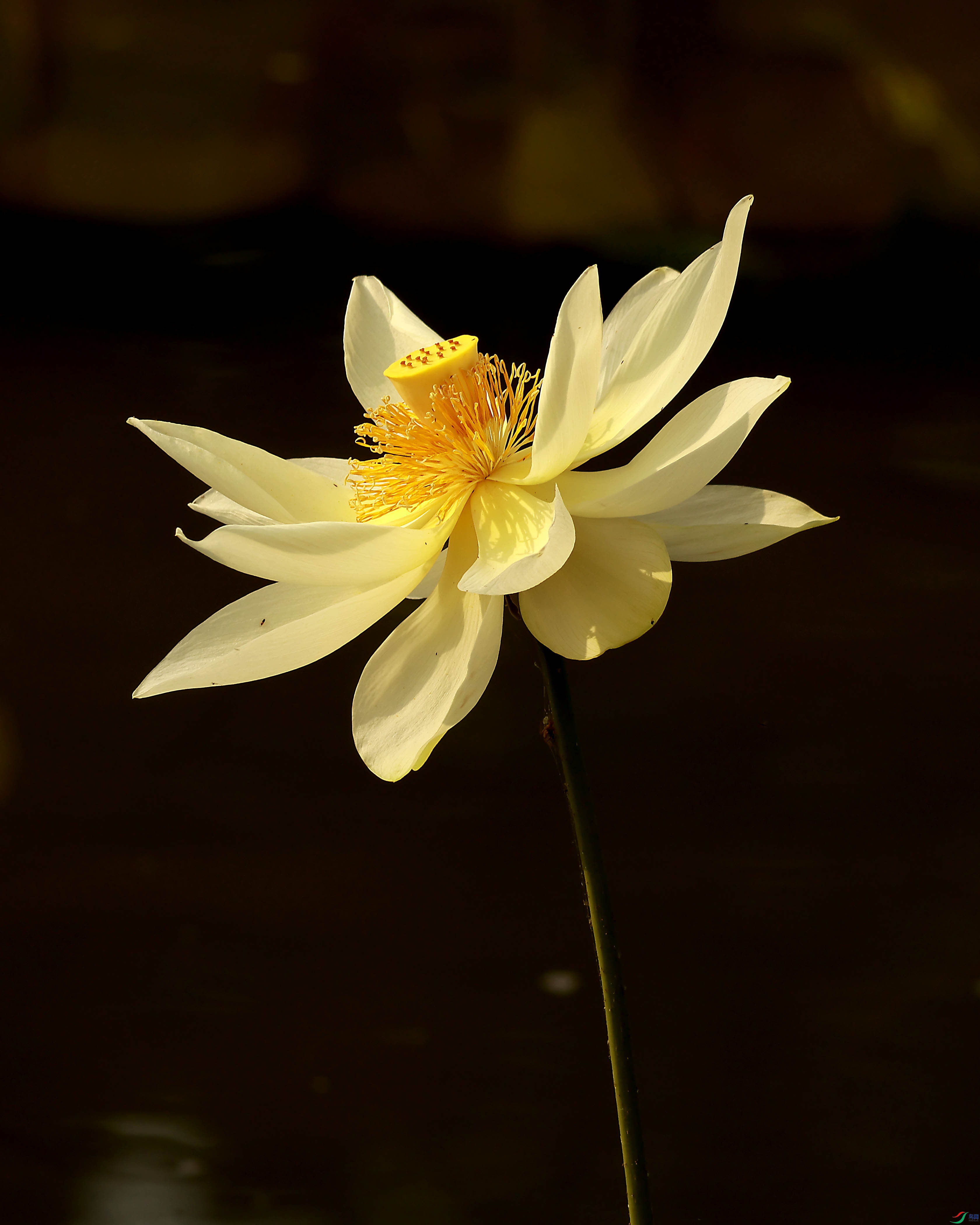 2G9A9574.JPG
