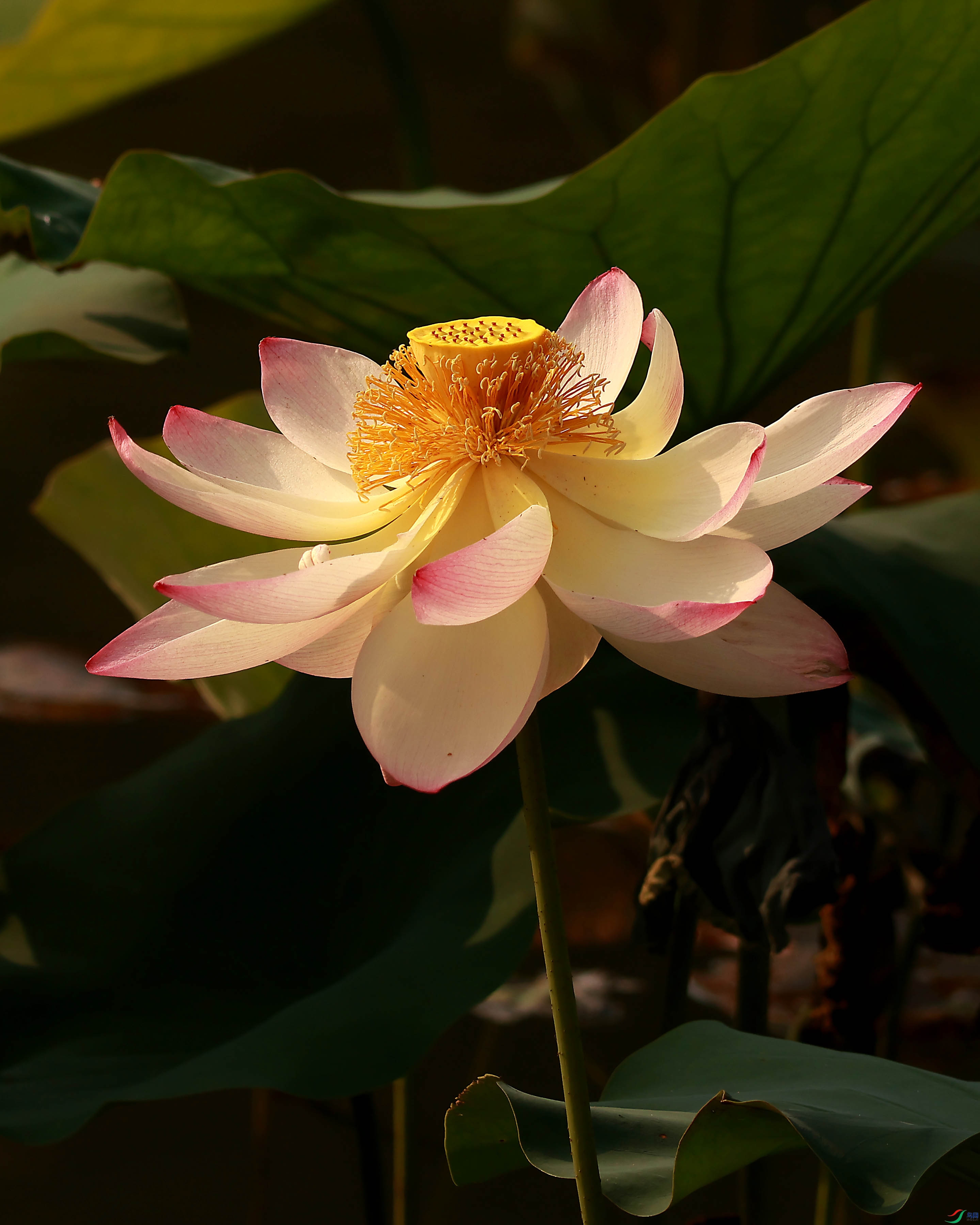 2G9A9577.JPG