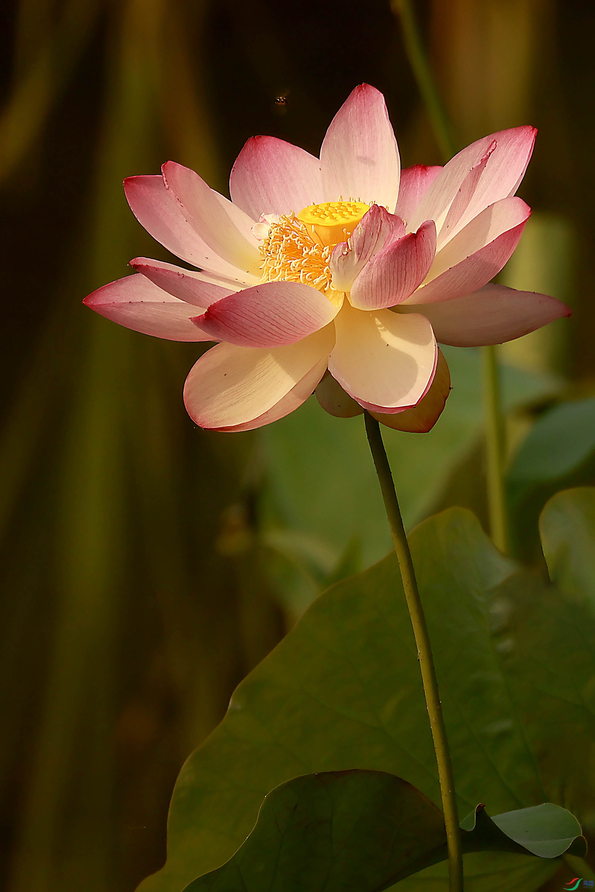 2G9A9581.JPG