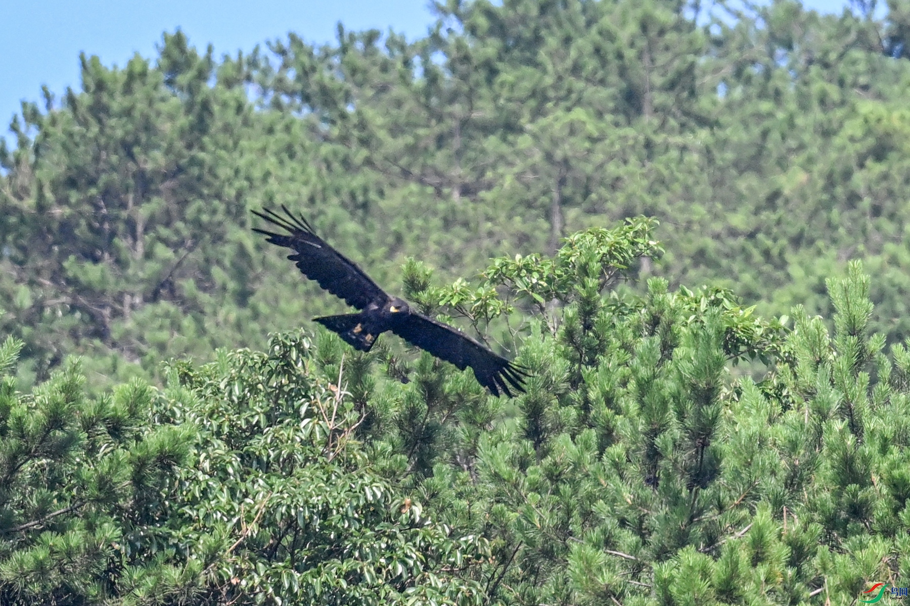 DSC_4446.JPG