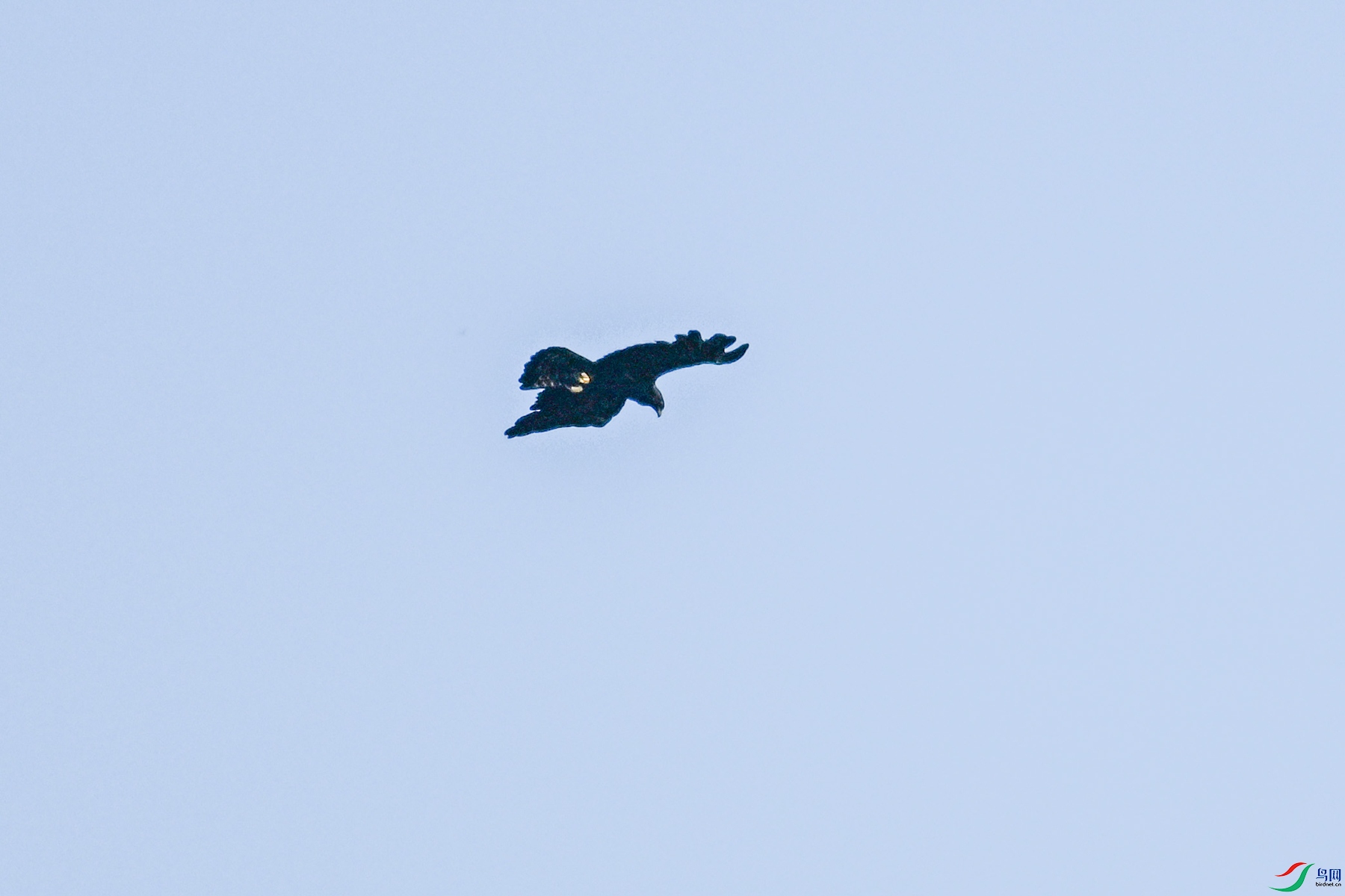 DSC_4406.JPG
