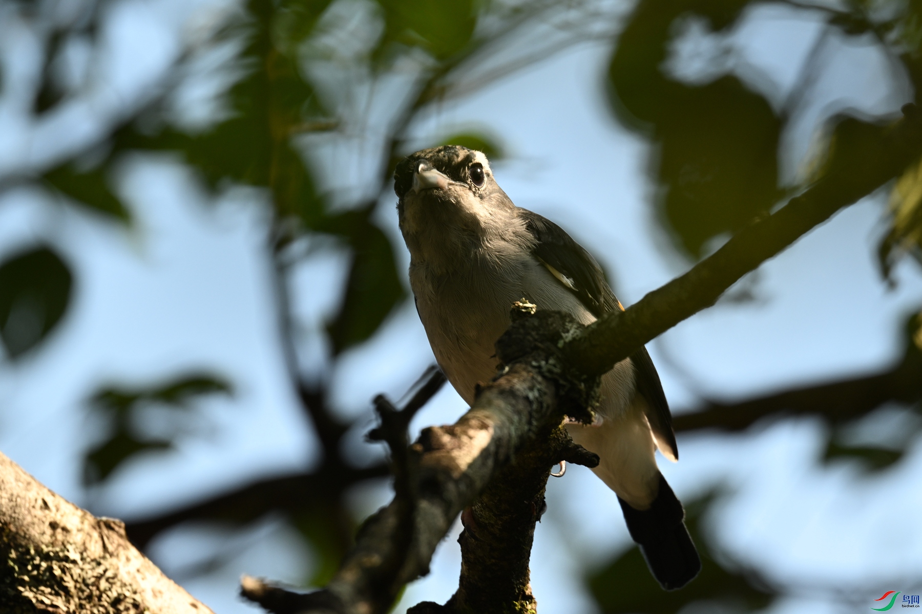 DSC_4388.JPG