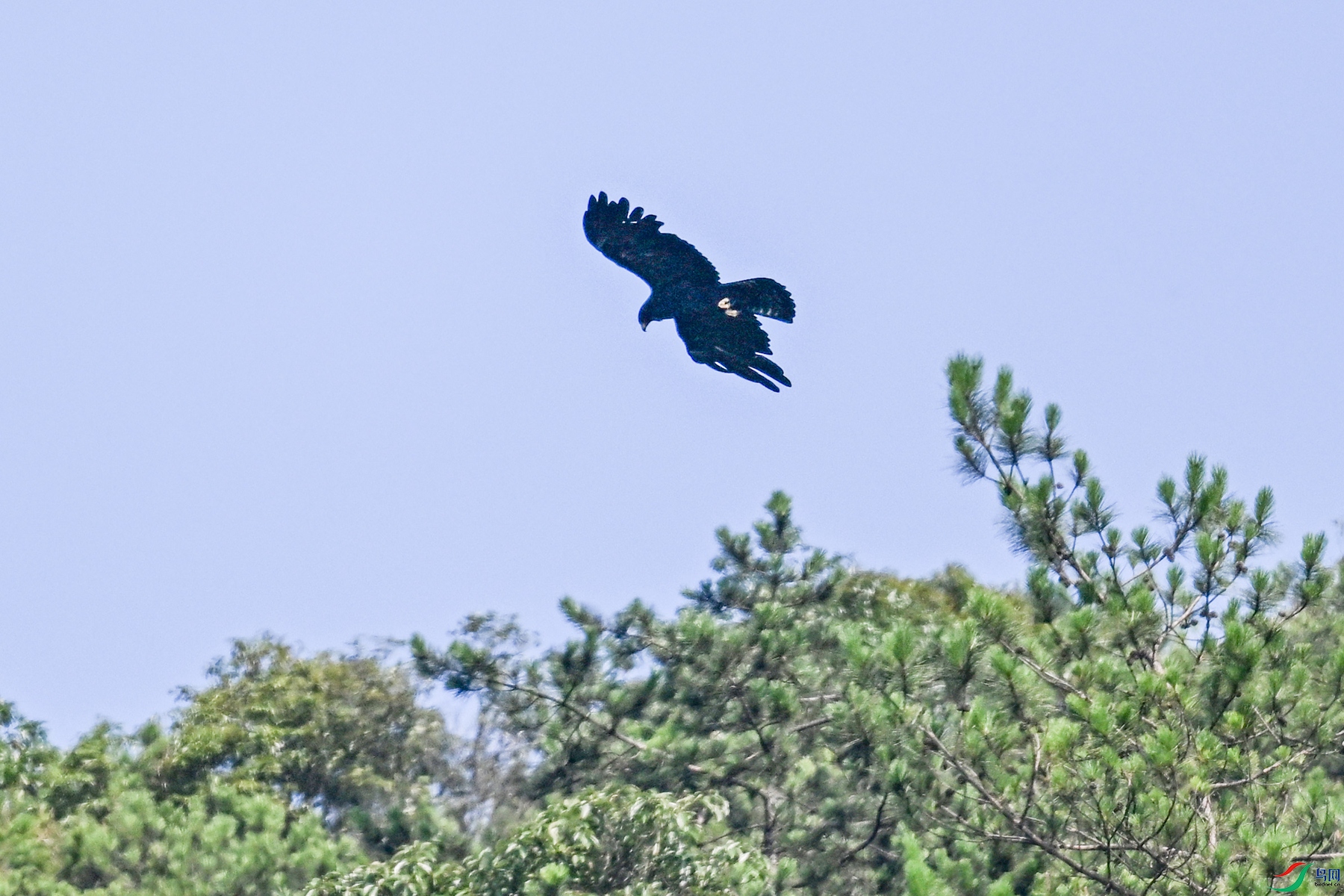 DSC_4425.JPG