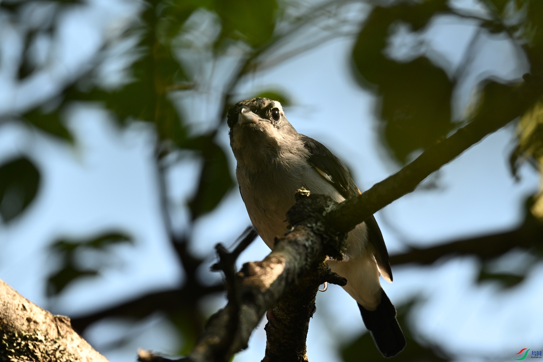 DSC_4389.JPG