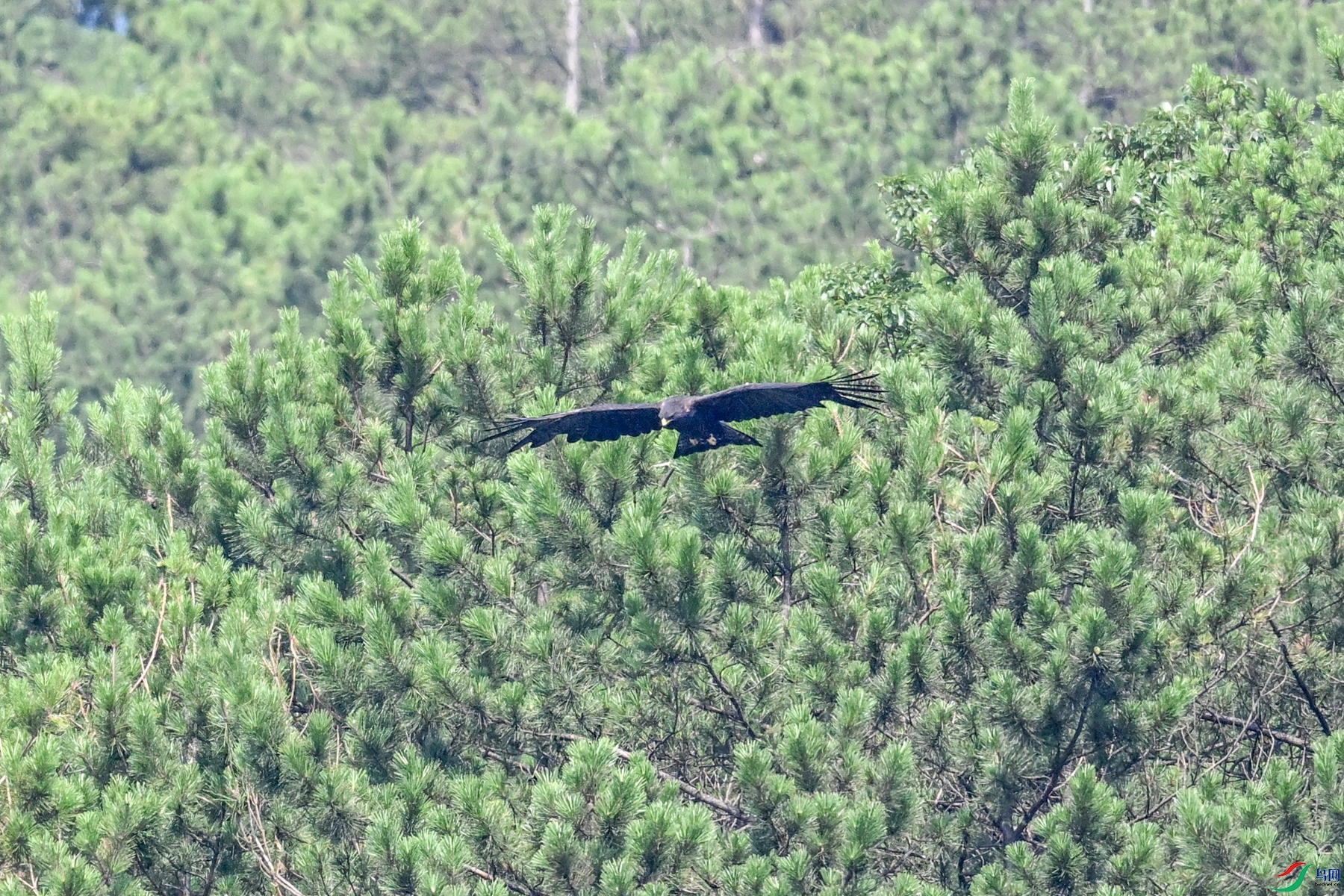 DSC_4439.JPG