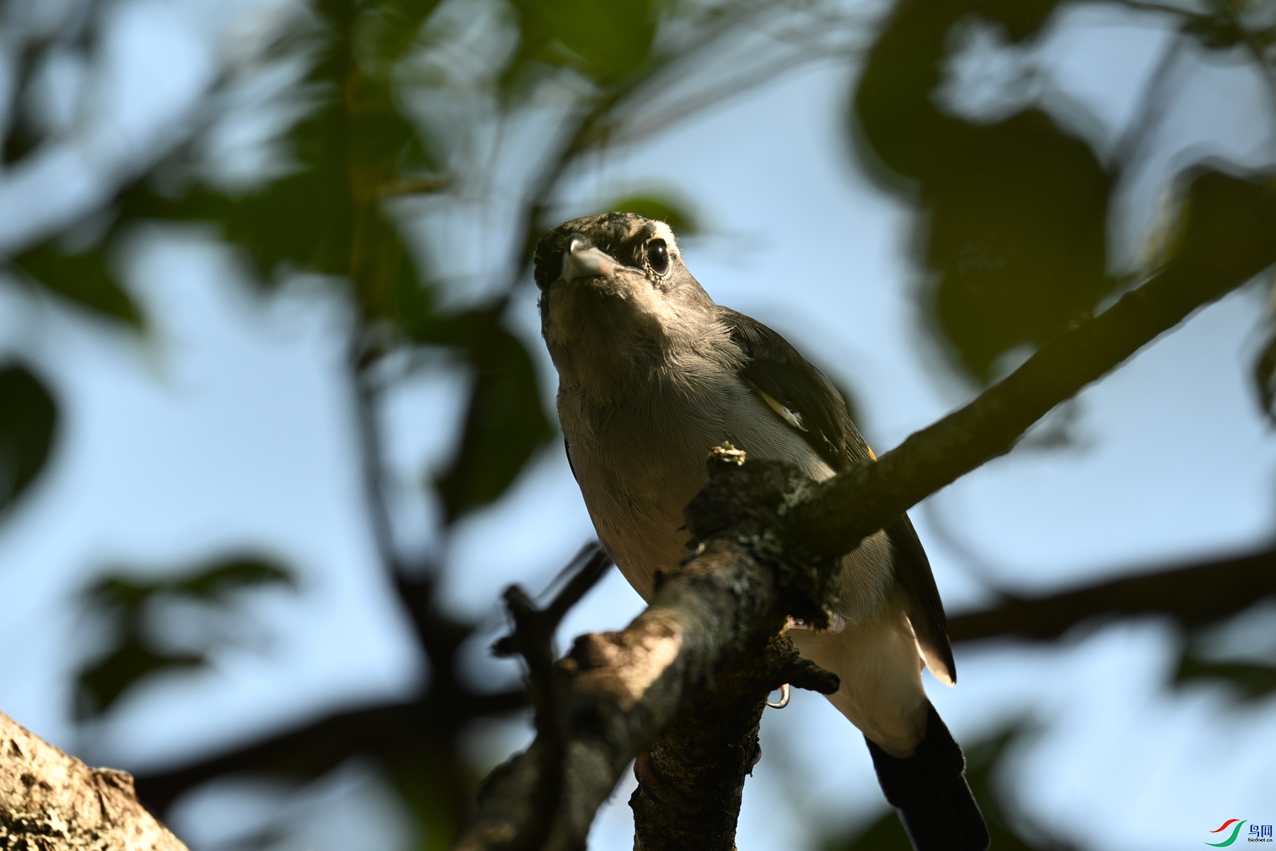 DSC_4390.JPG