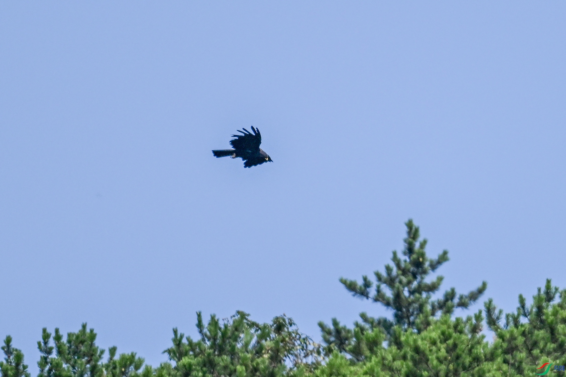 DSC_4401.JPG