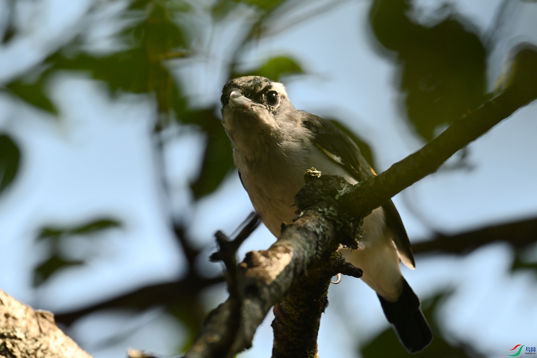DSC_4391.JPG